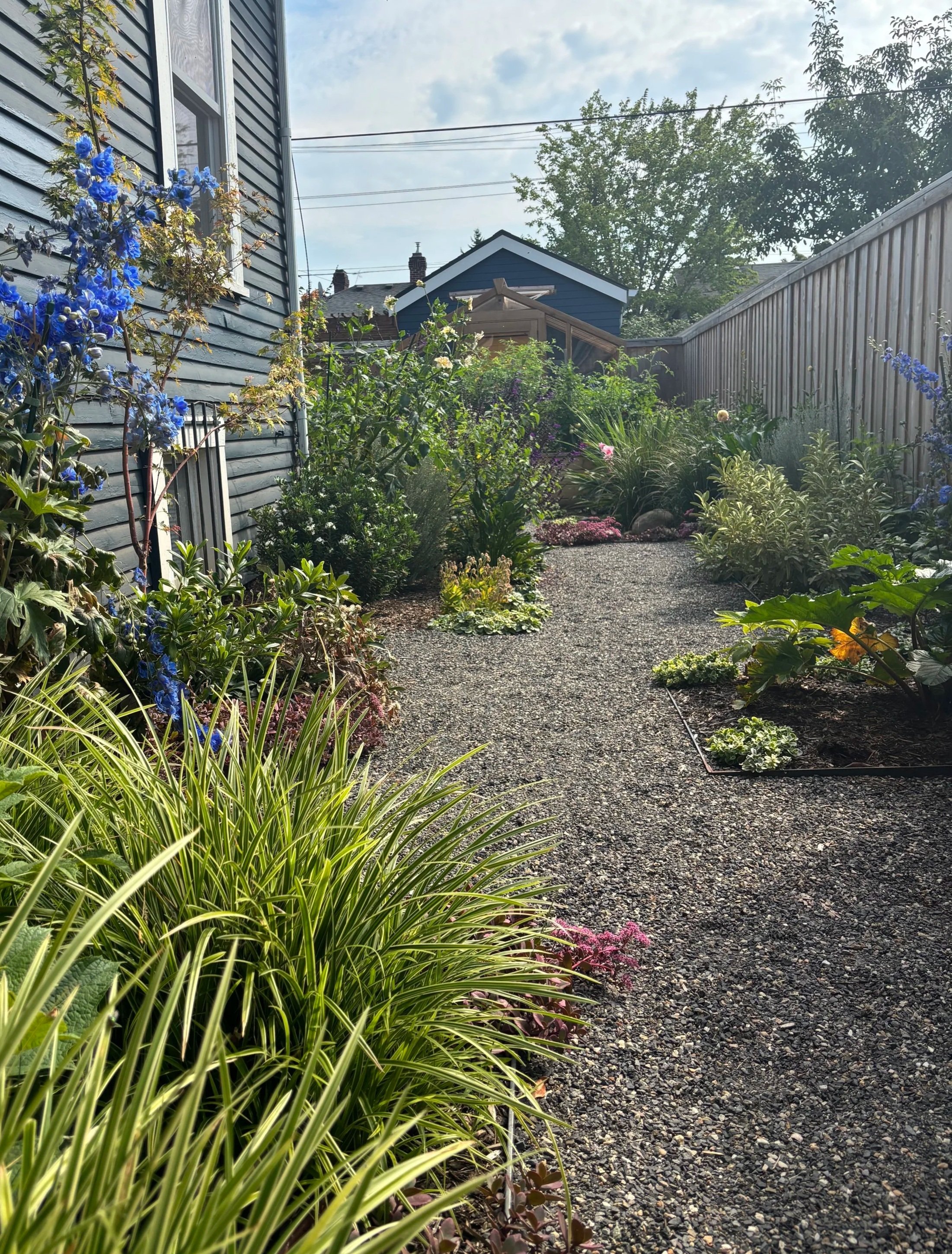urban food garden in small back yard shed green house