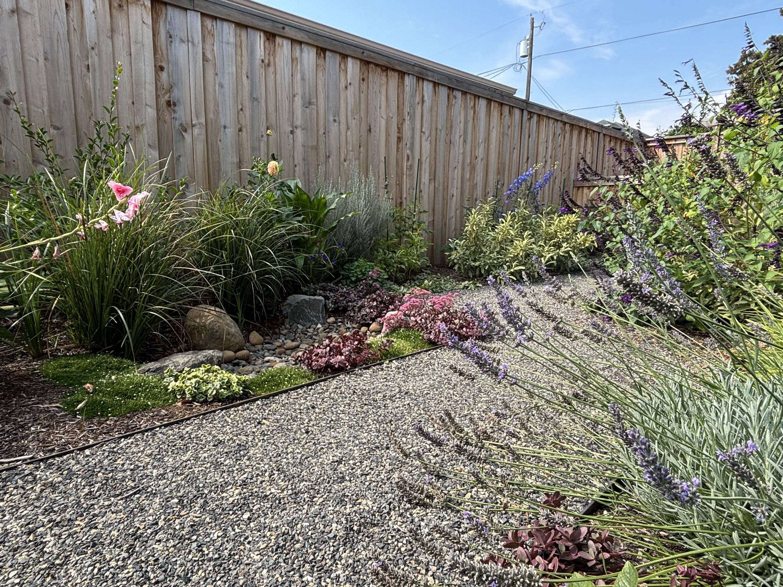 gravel pathway lush garden