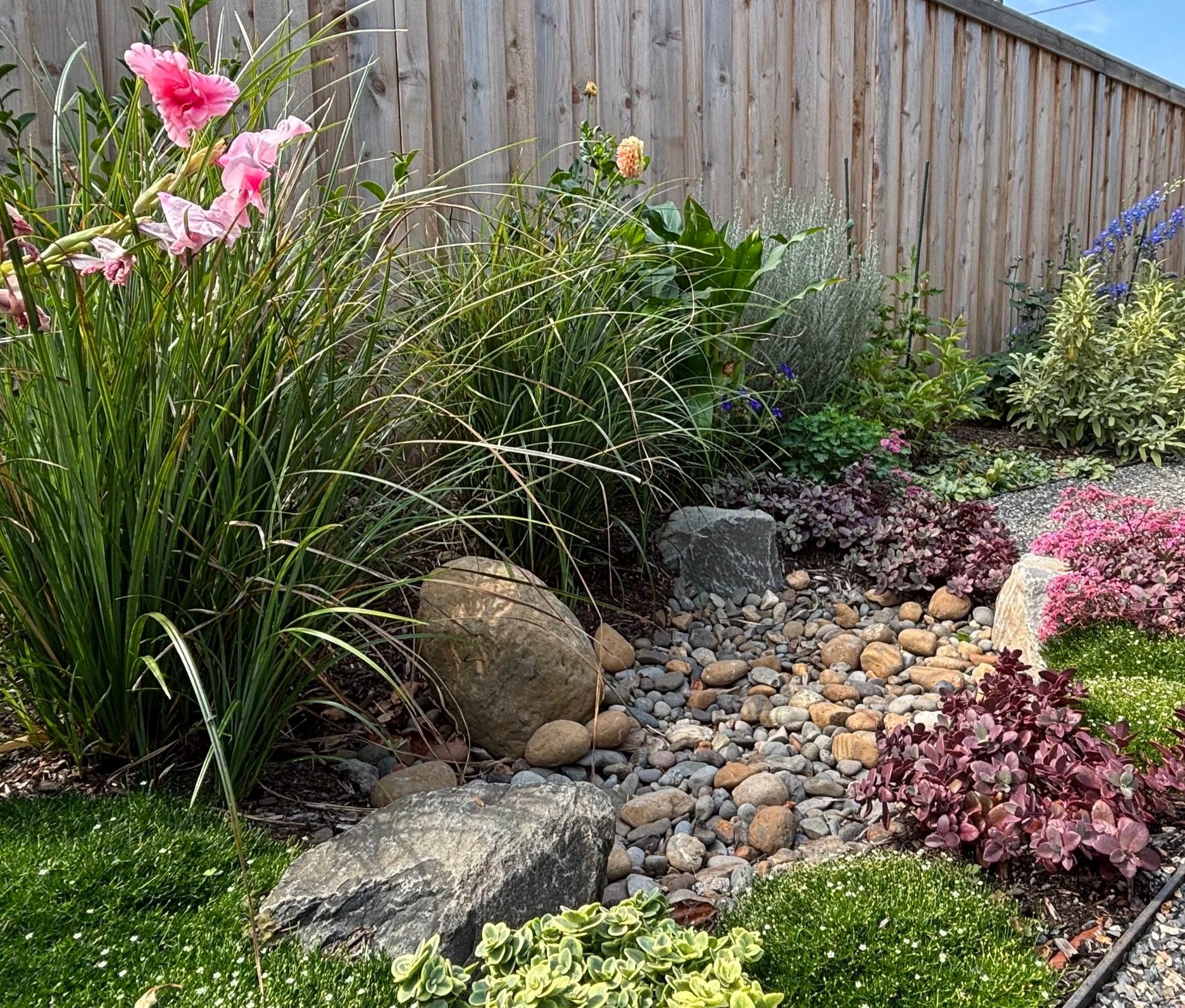 colorful rain garden along pathway