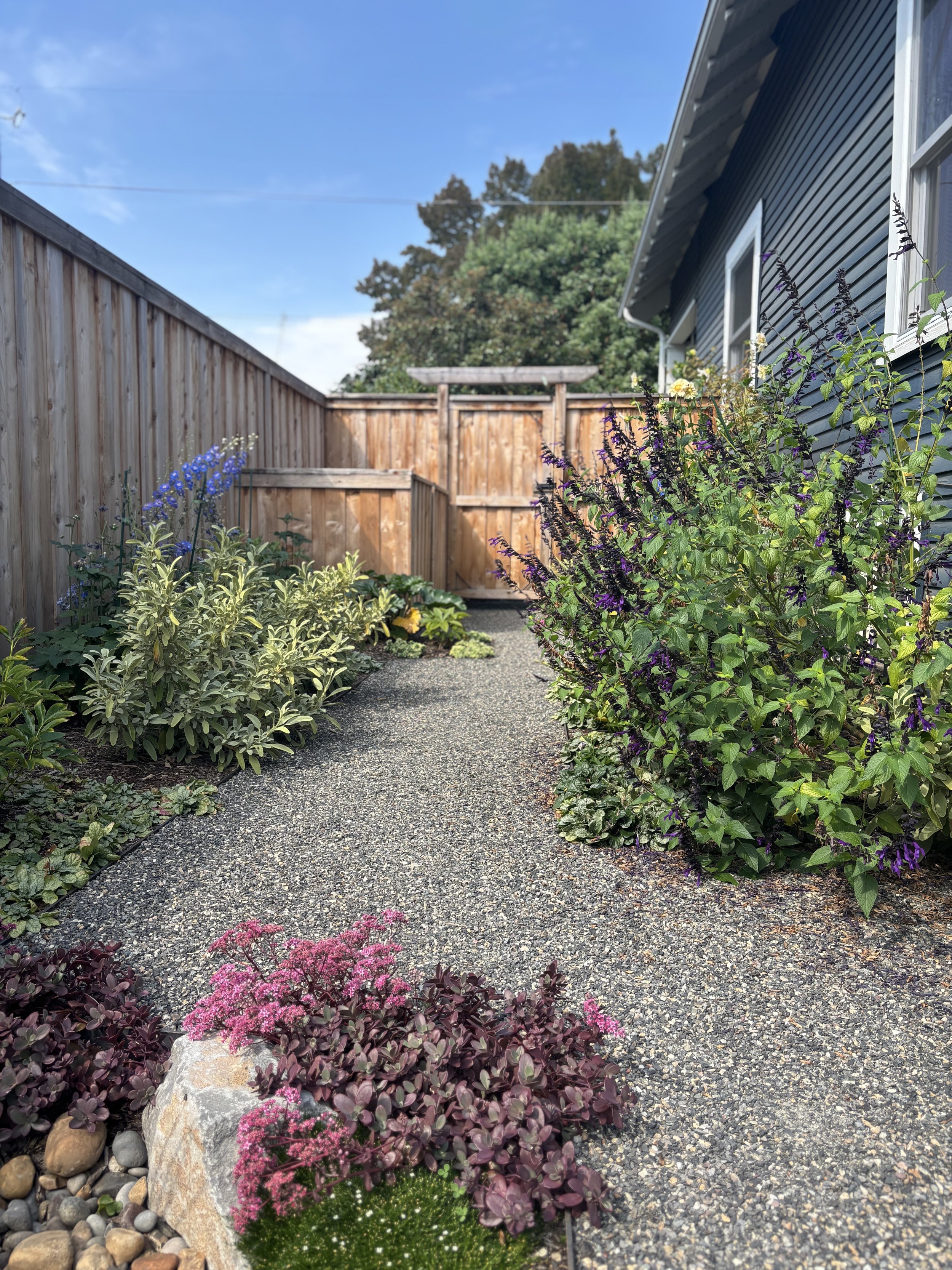 Linear_gravel_path_garden.jpg