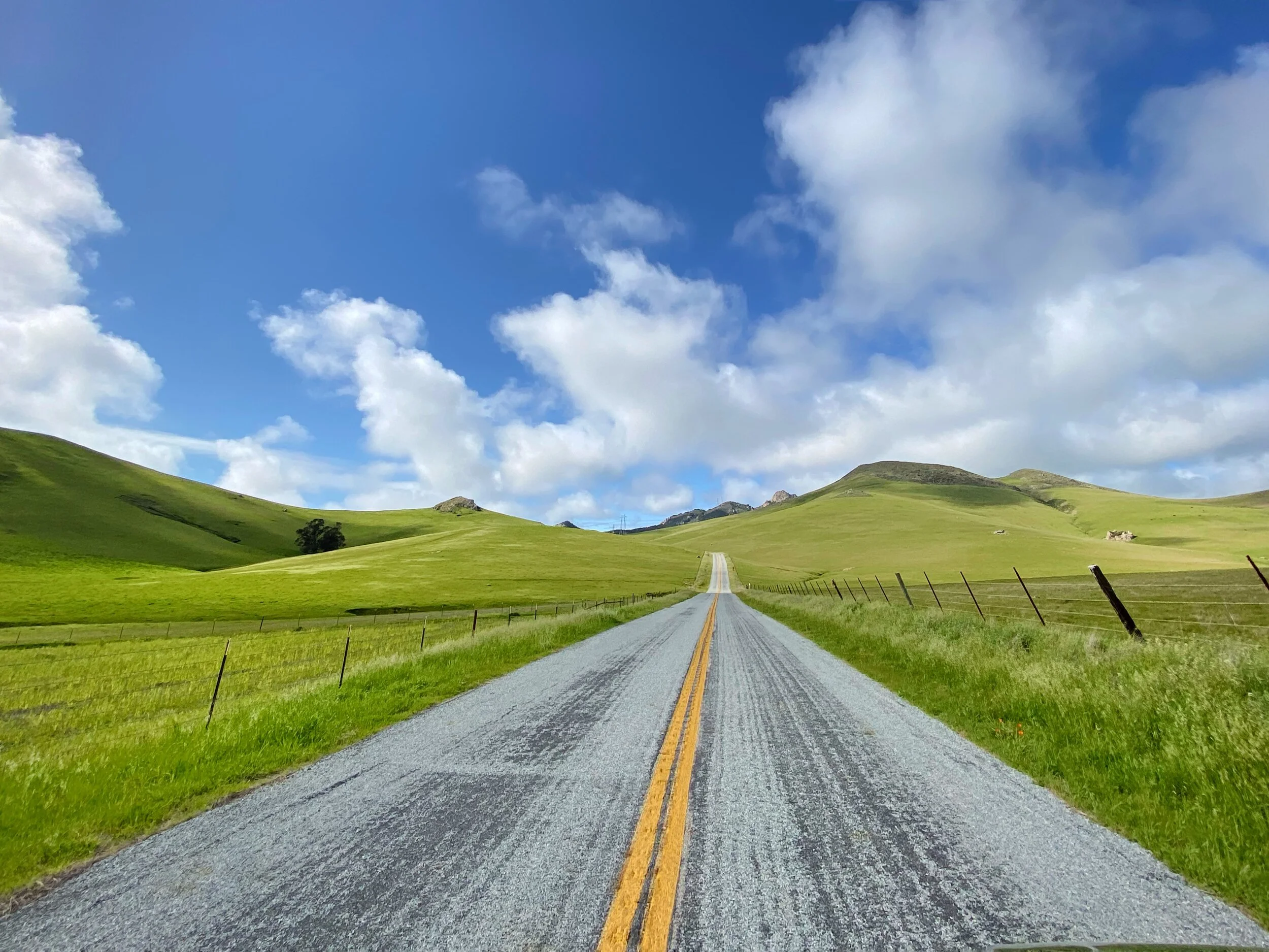 The Way by Larry Smith