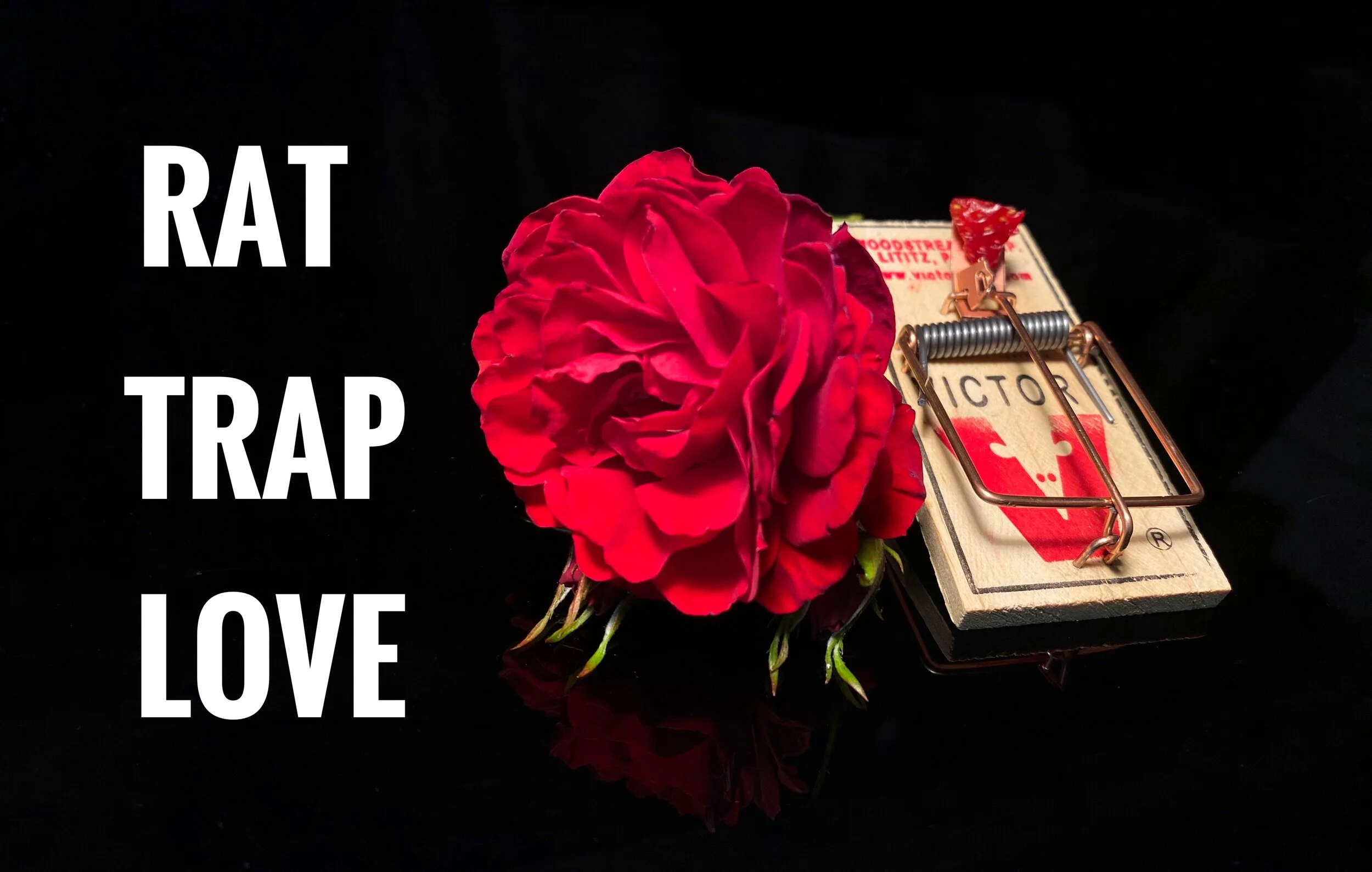 Rat Trap Love