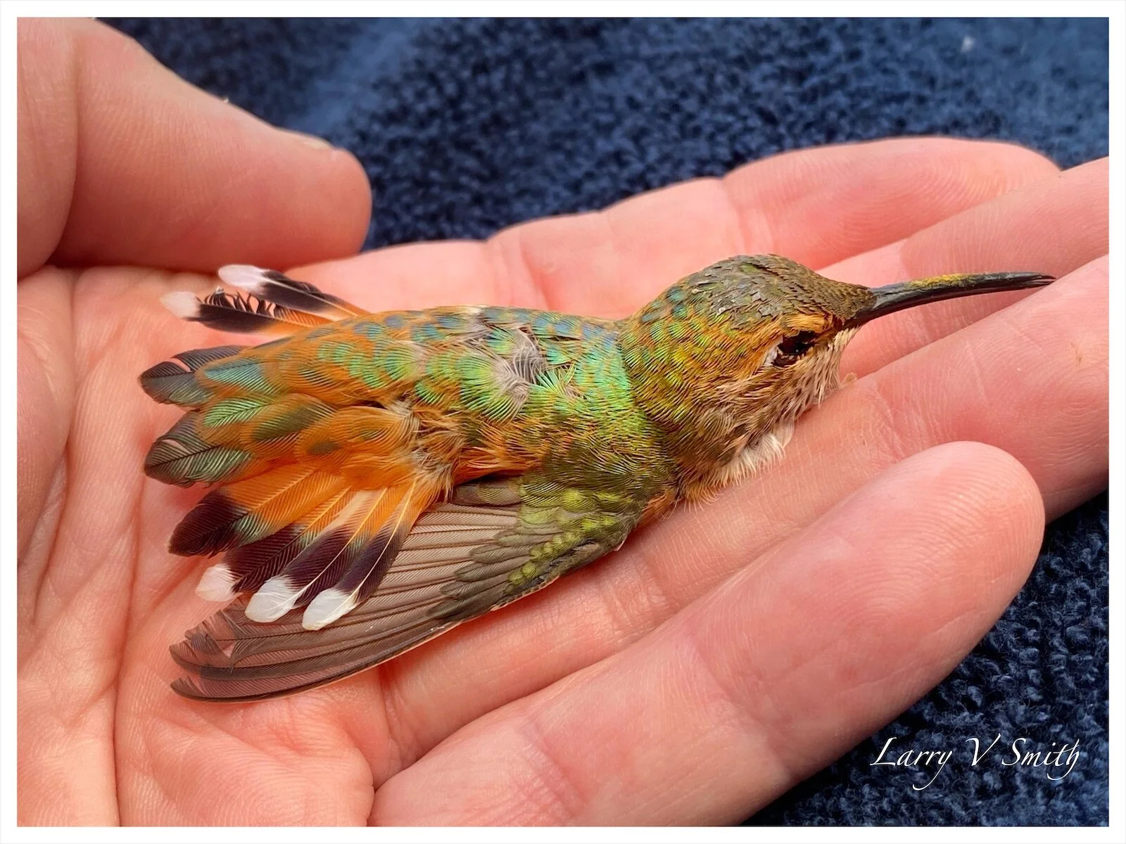 Little Things Matter