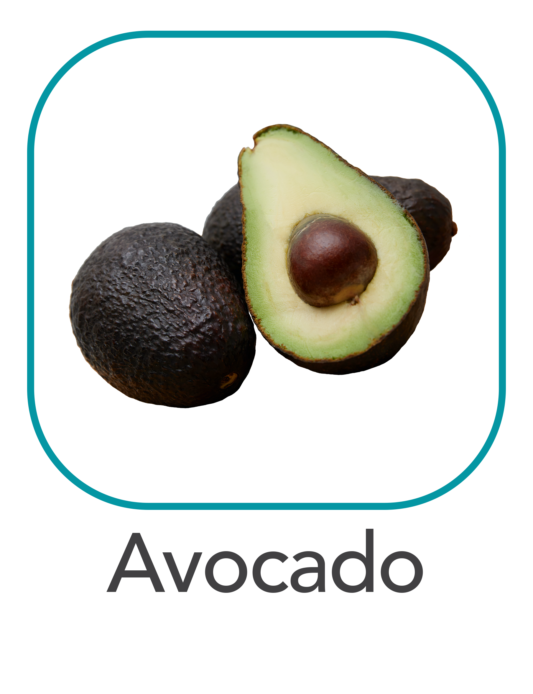 Avocado_web.png