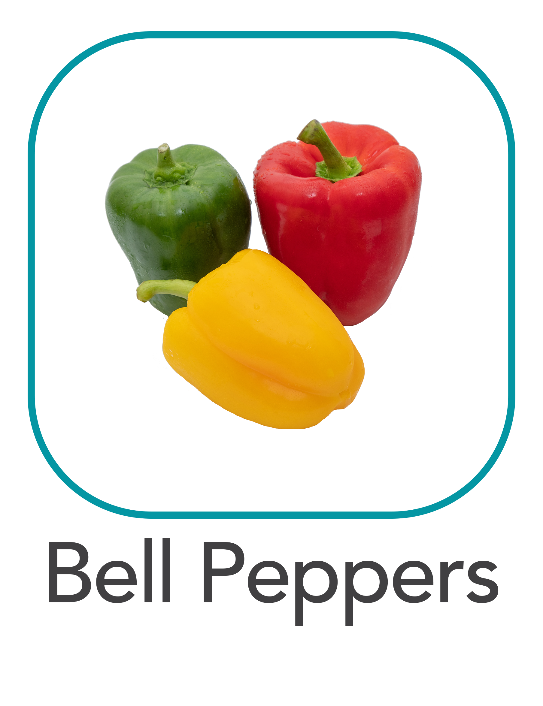 bellpeppers_web.png