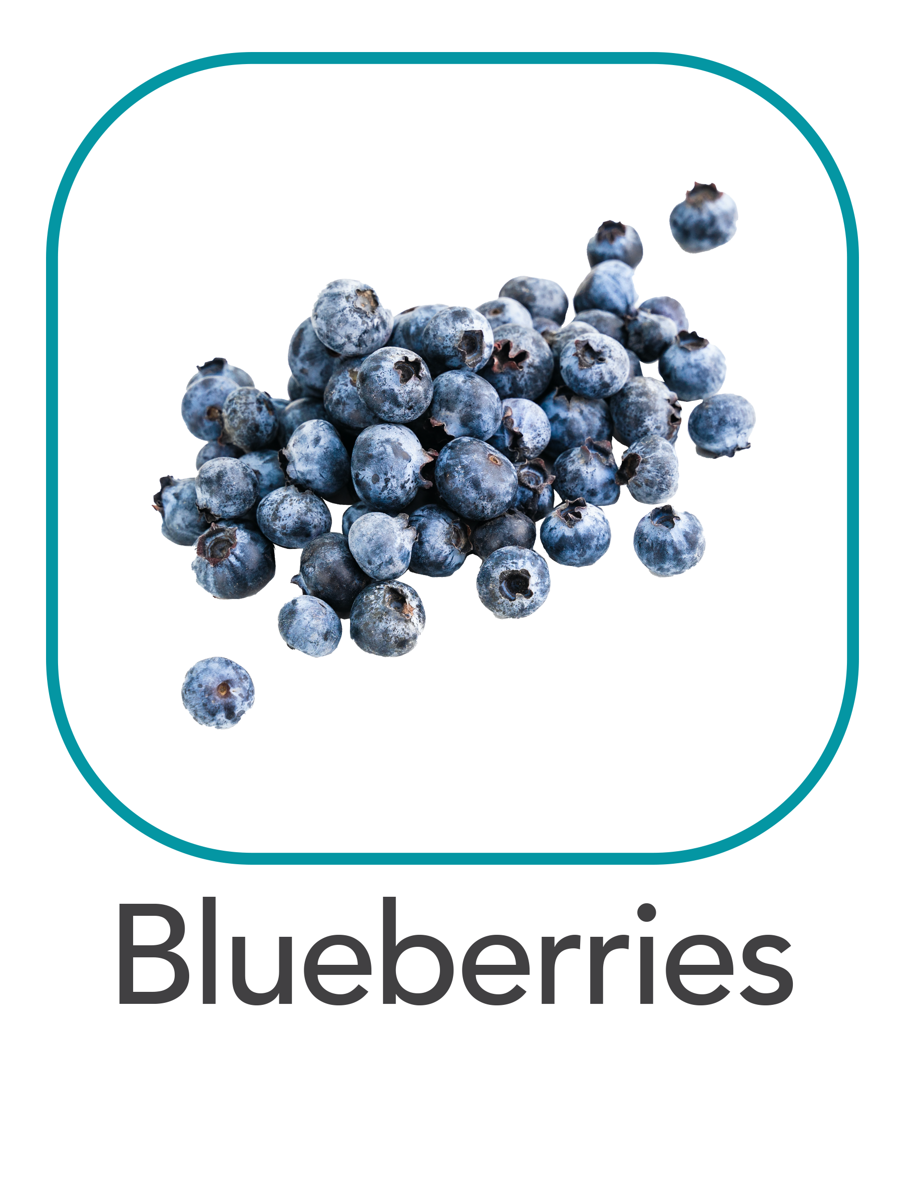 blueberries_web.png