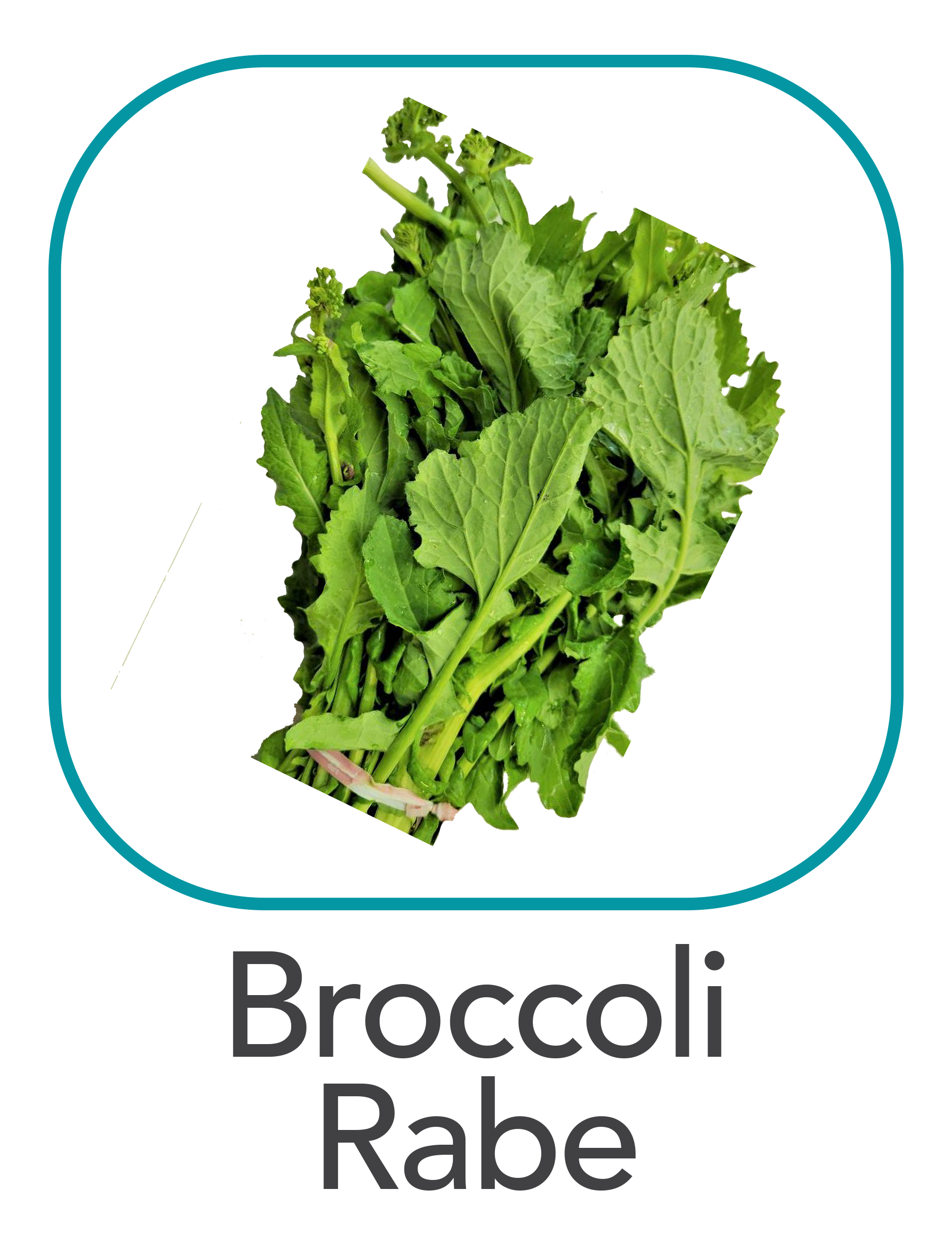 broccolirabe_web.png