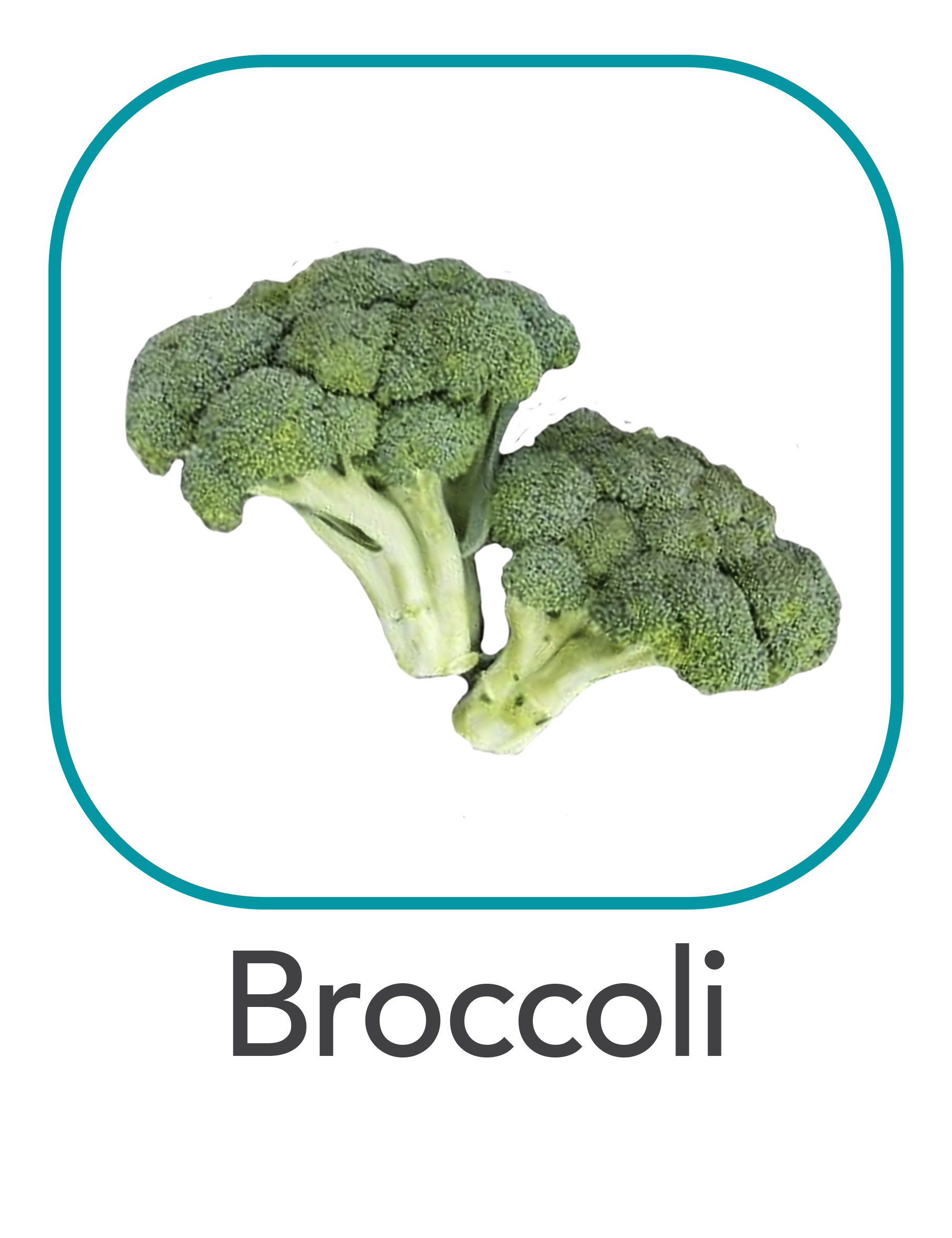 broccoli_web.png