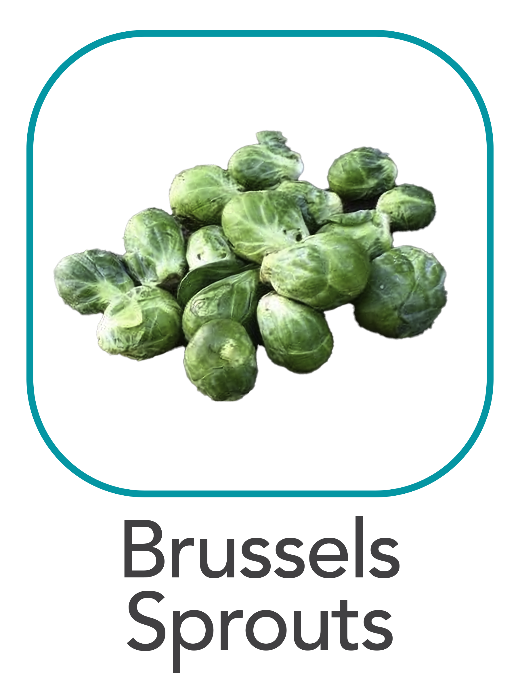 brusselssprouts_web.png