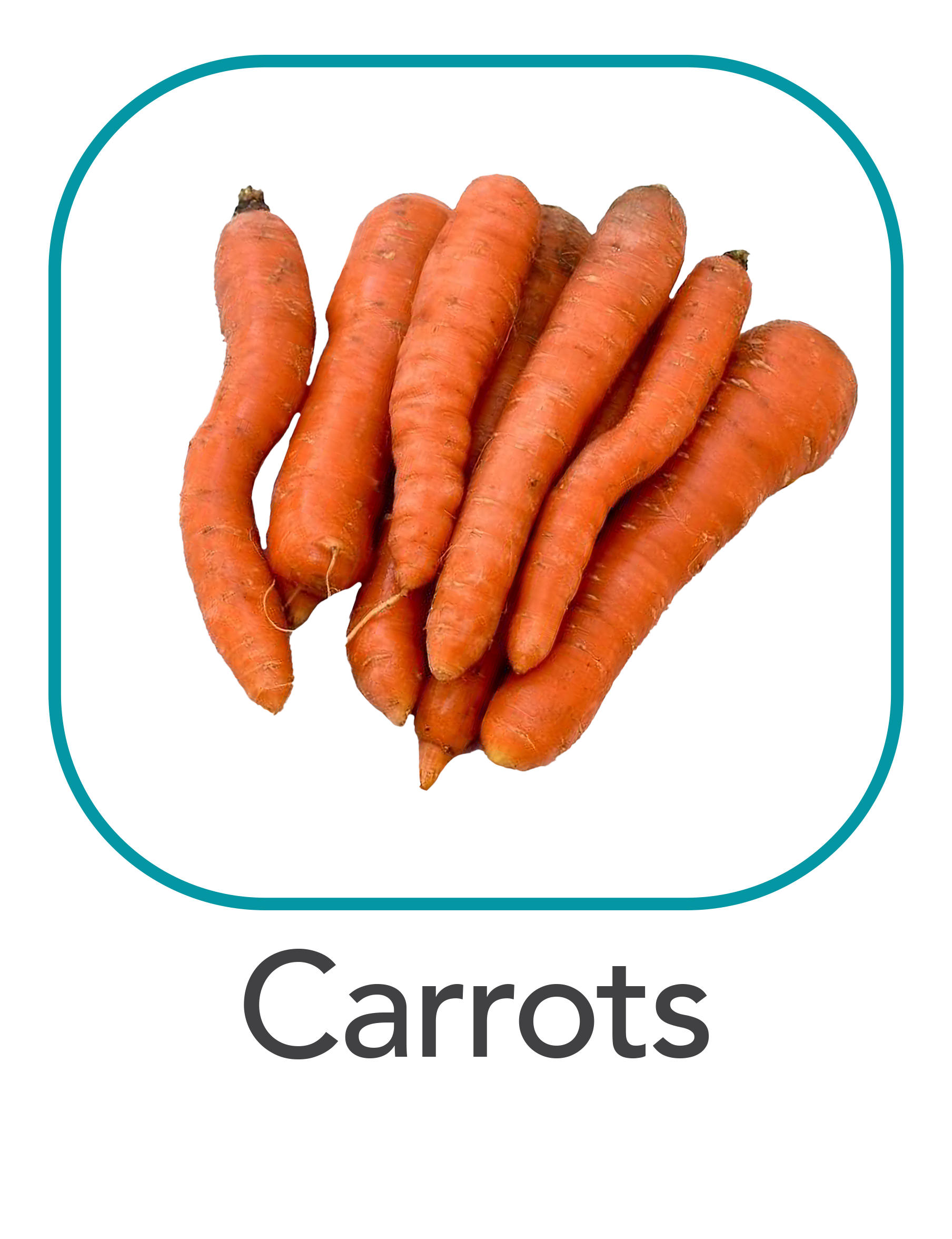 carrots_web.png