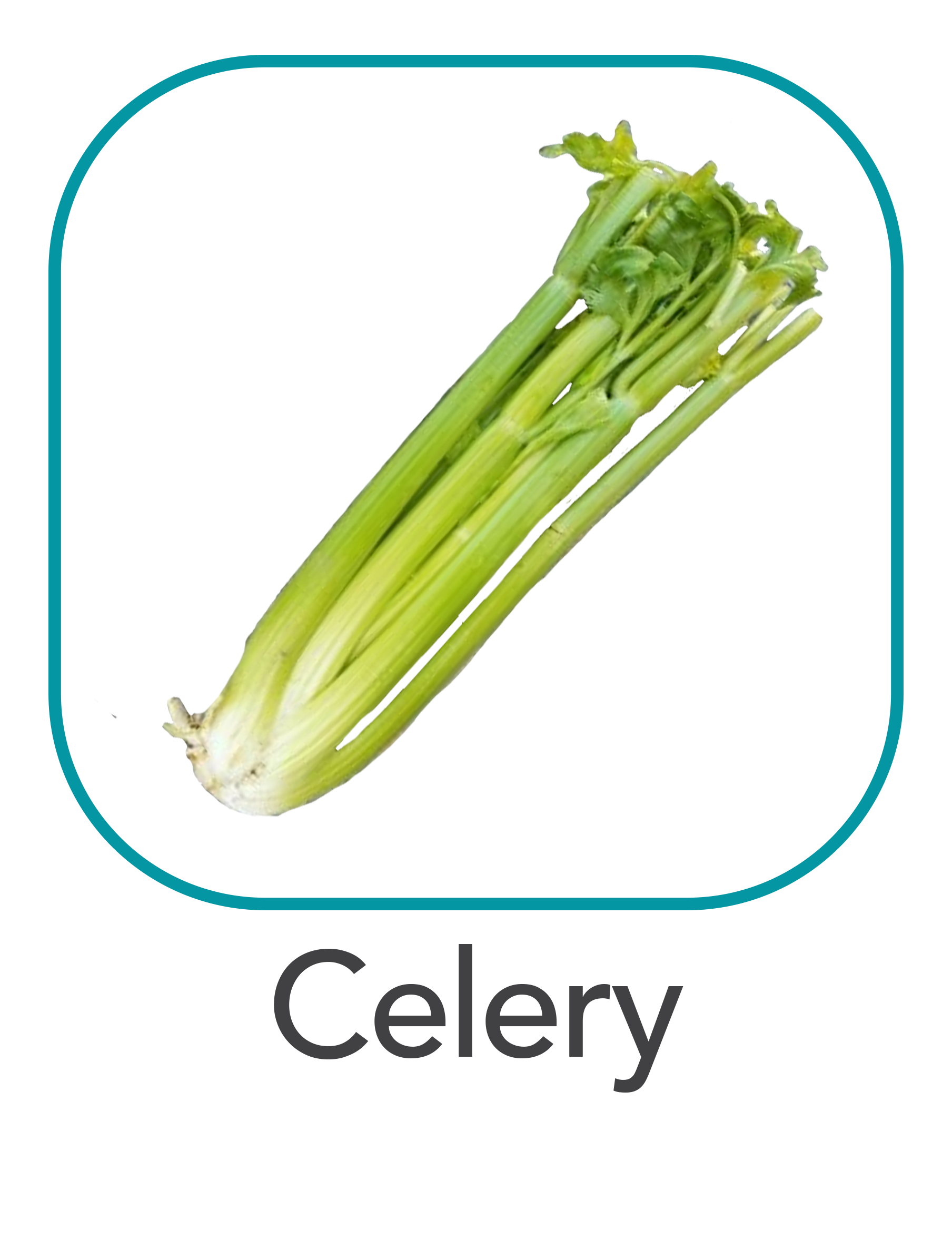 celery_web.png