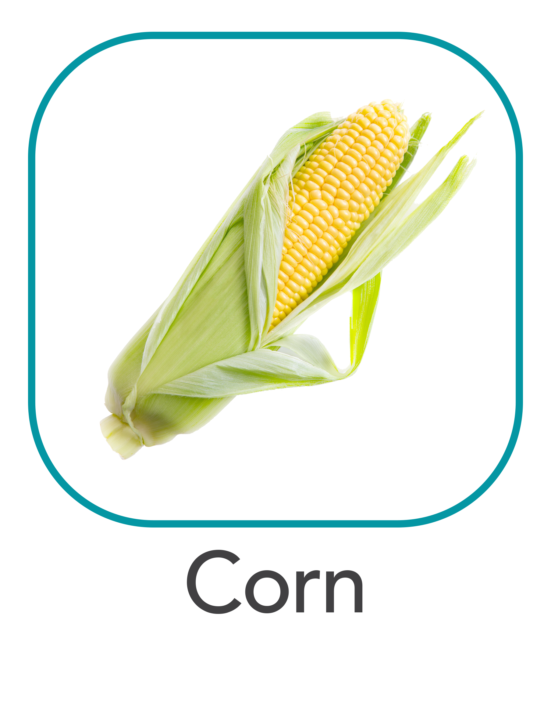 corn_web.png