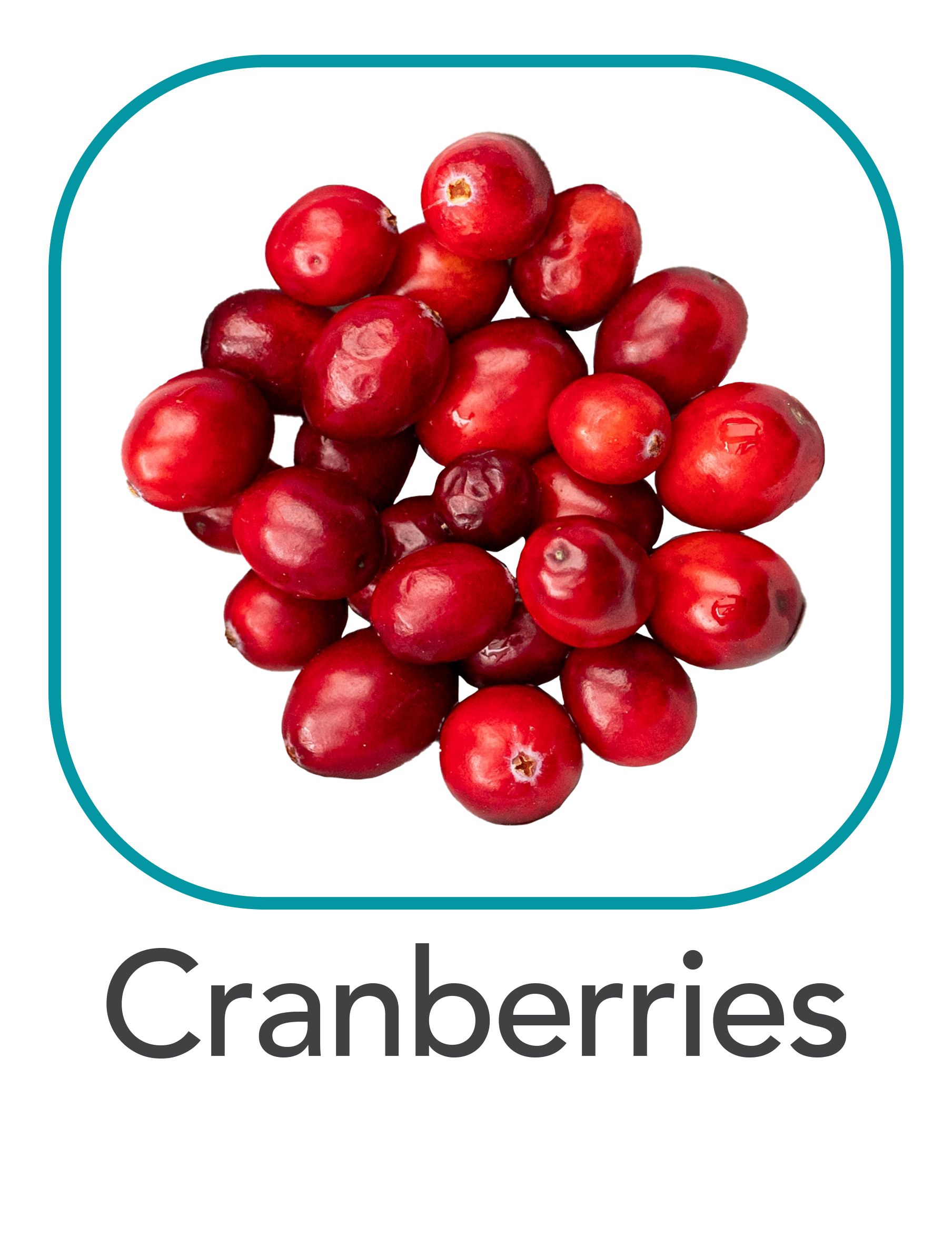 cranberries_web.png