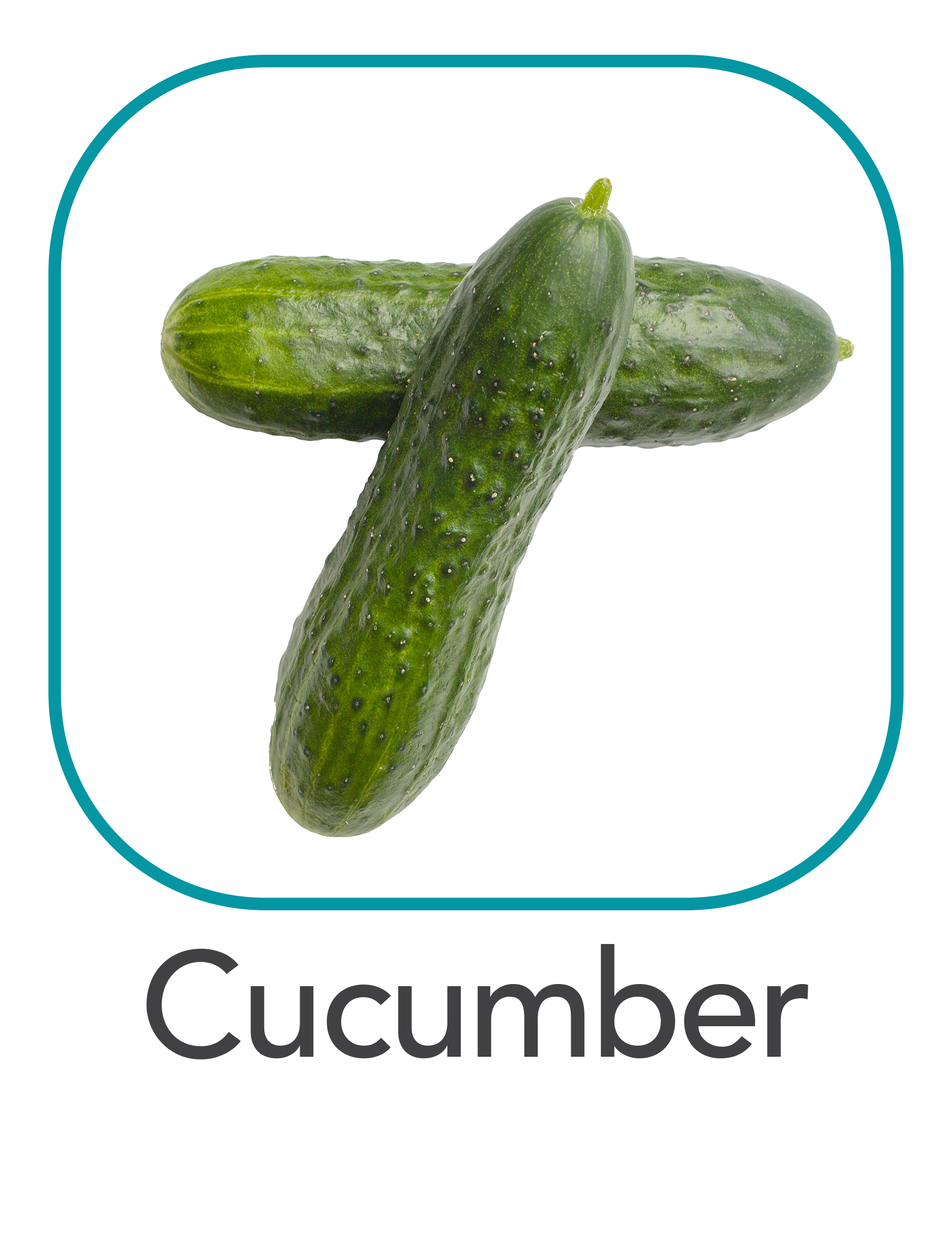 cucumber_web.png
