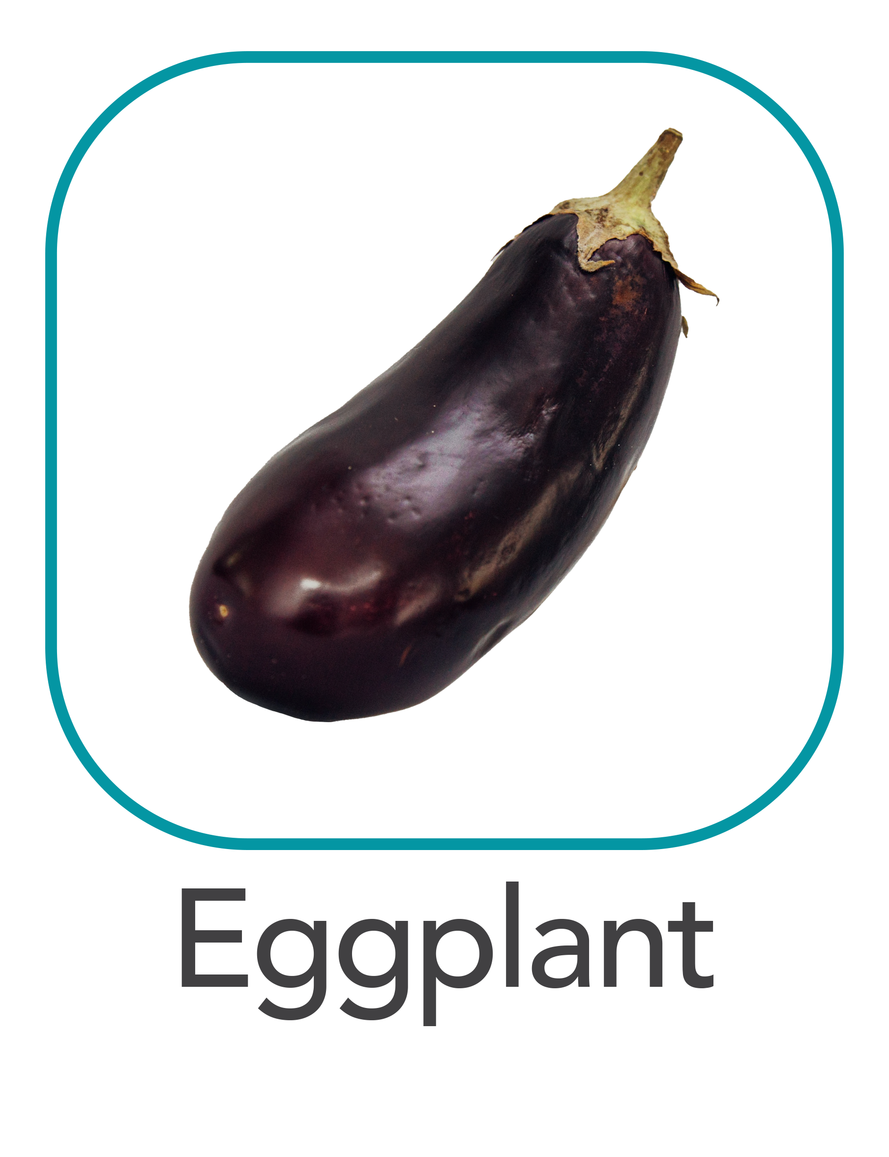 eggplant_web.png