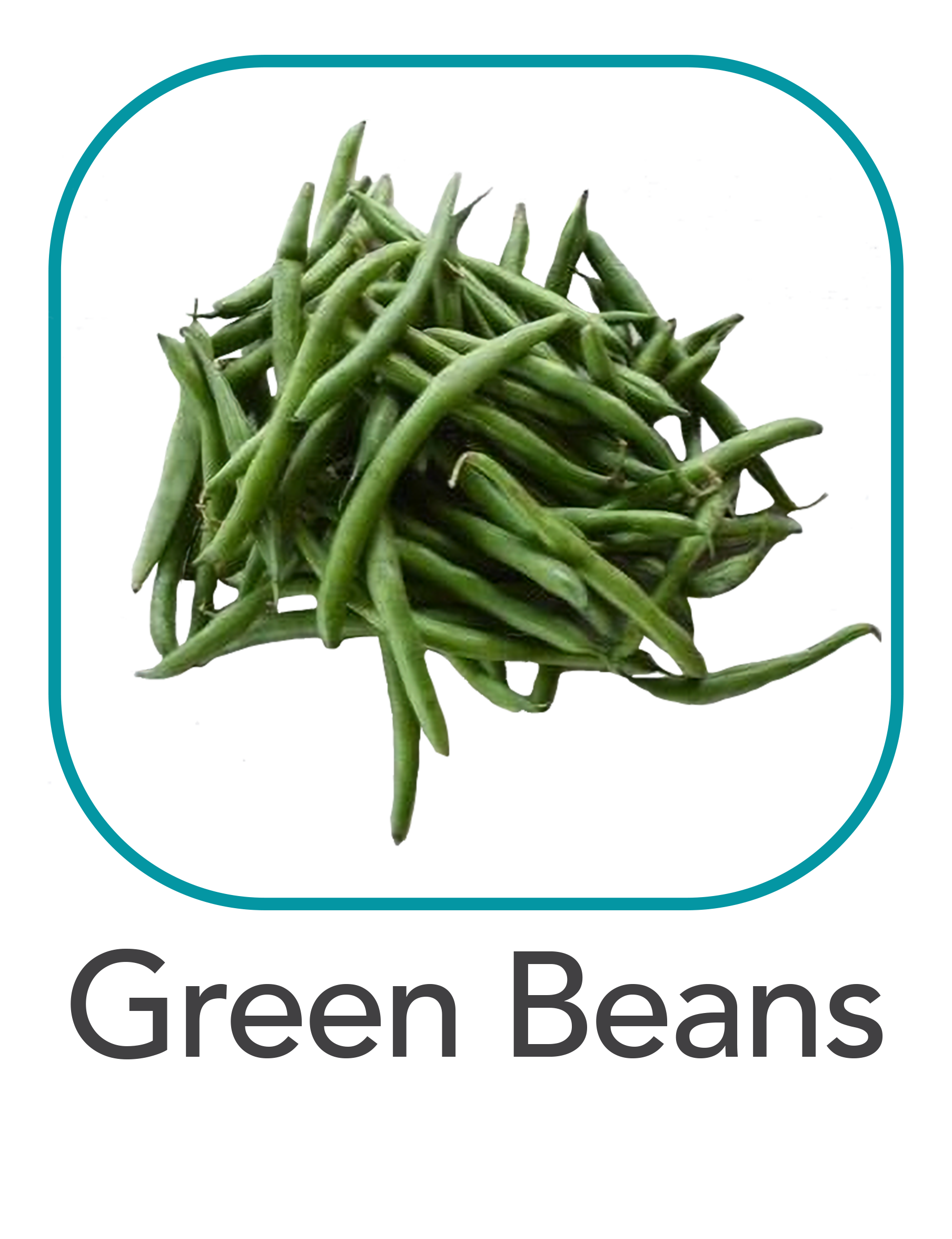 greenbeans_web.png