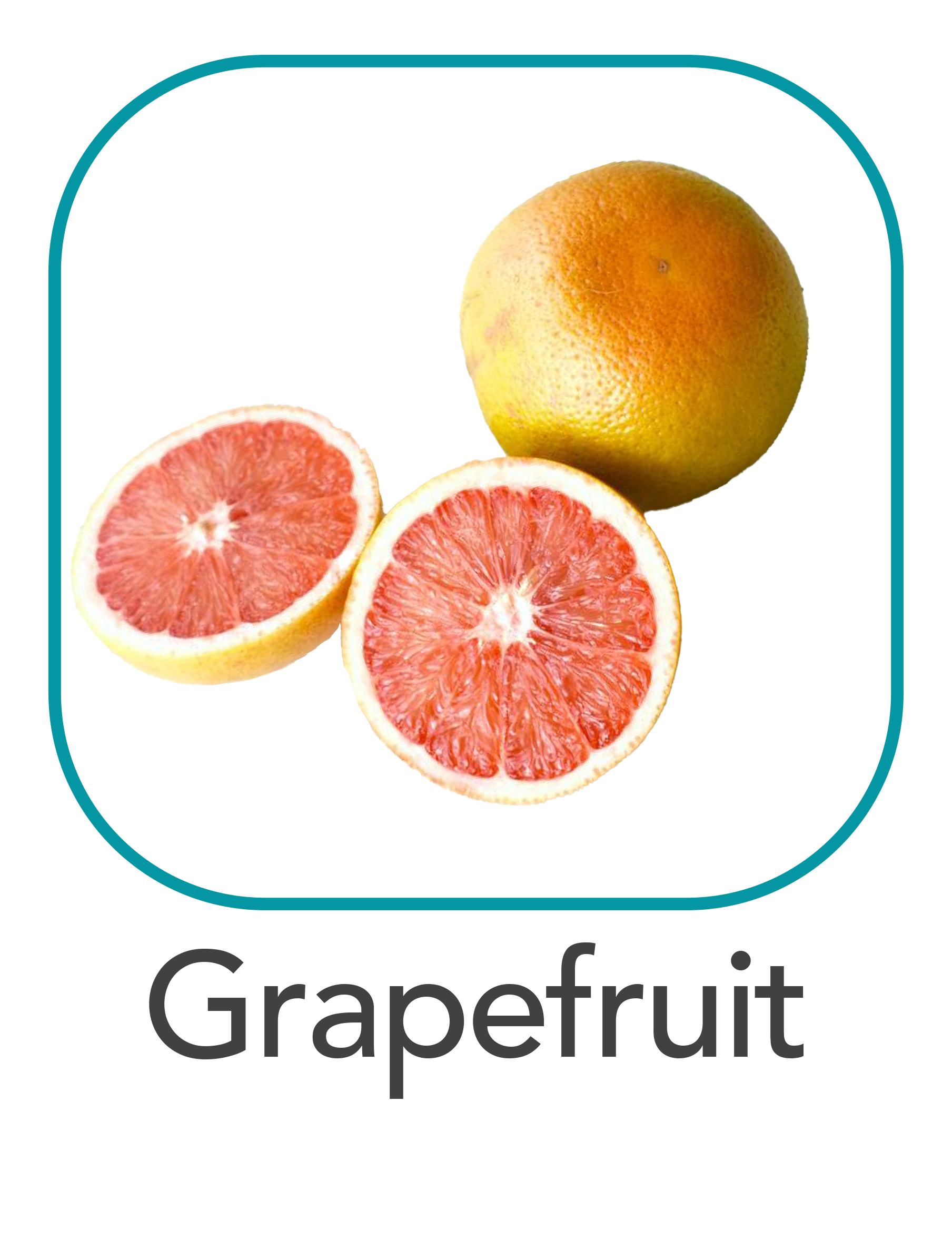 grapefruit_web.png