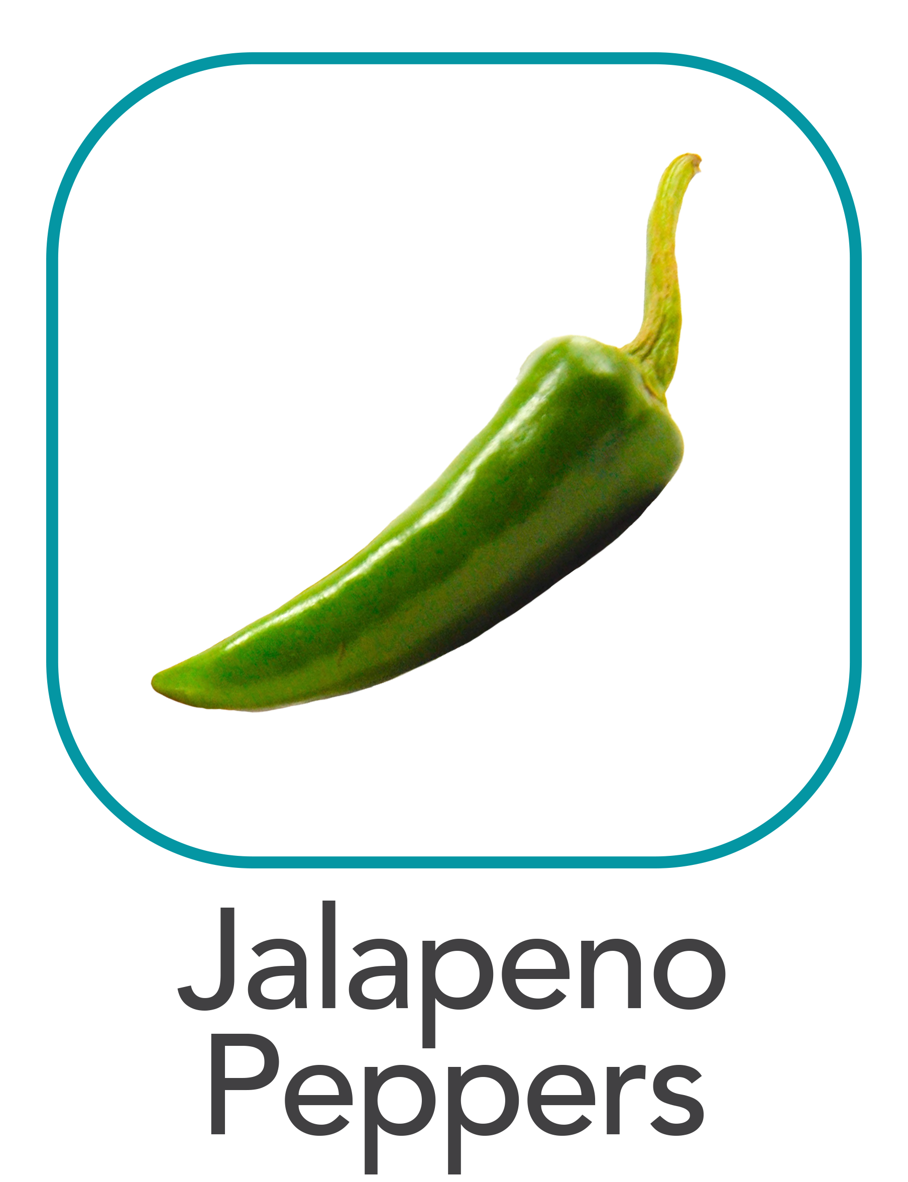 jalapeno_web.png