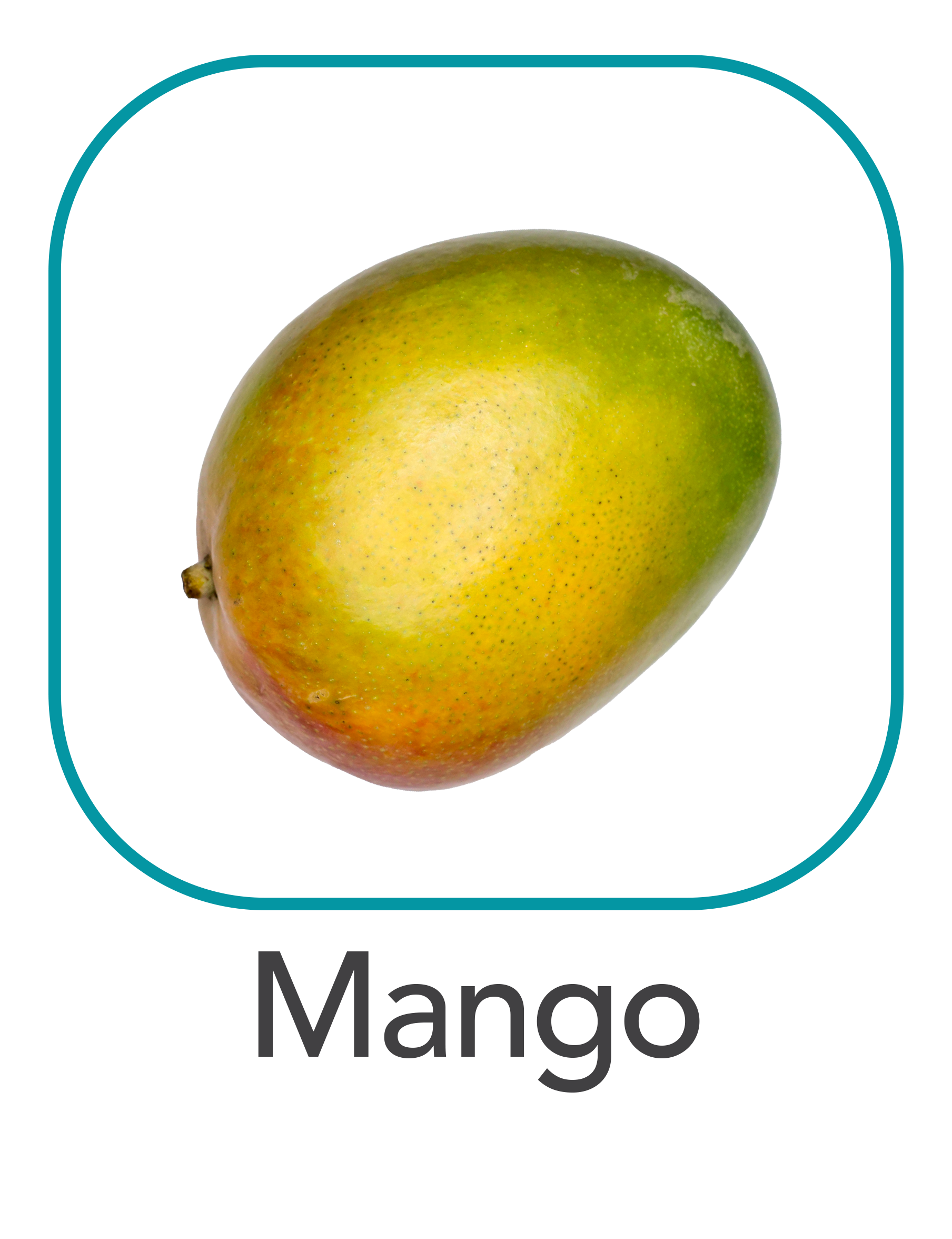 mango_web.png