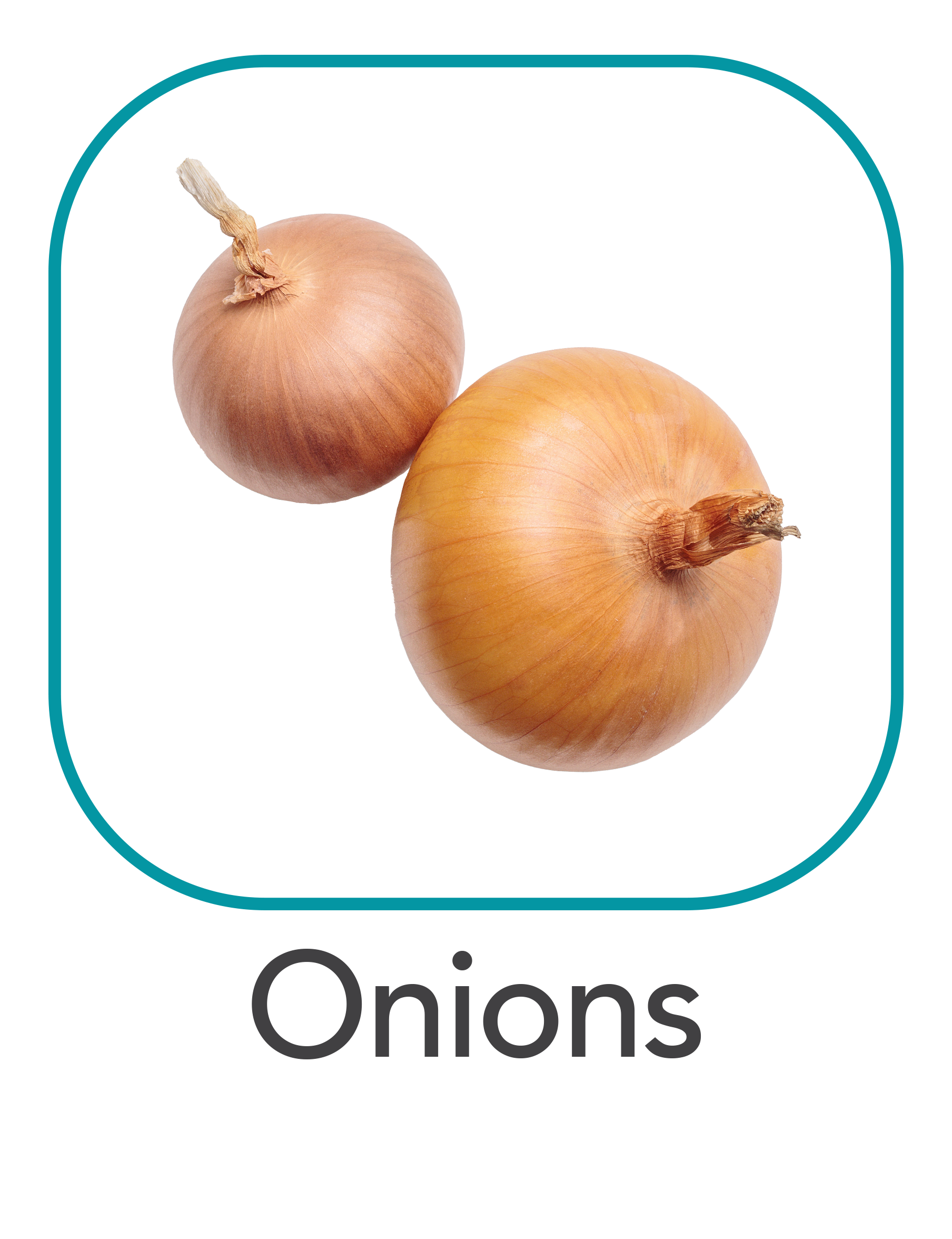 onions_web.png