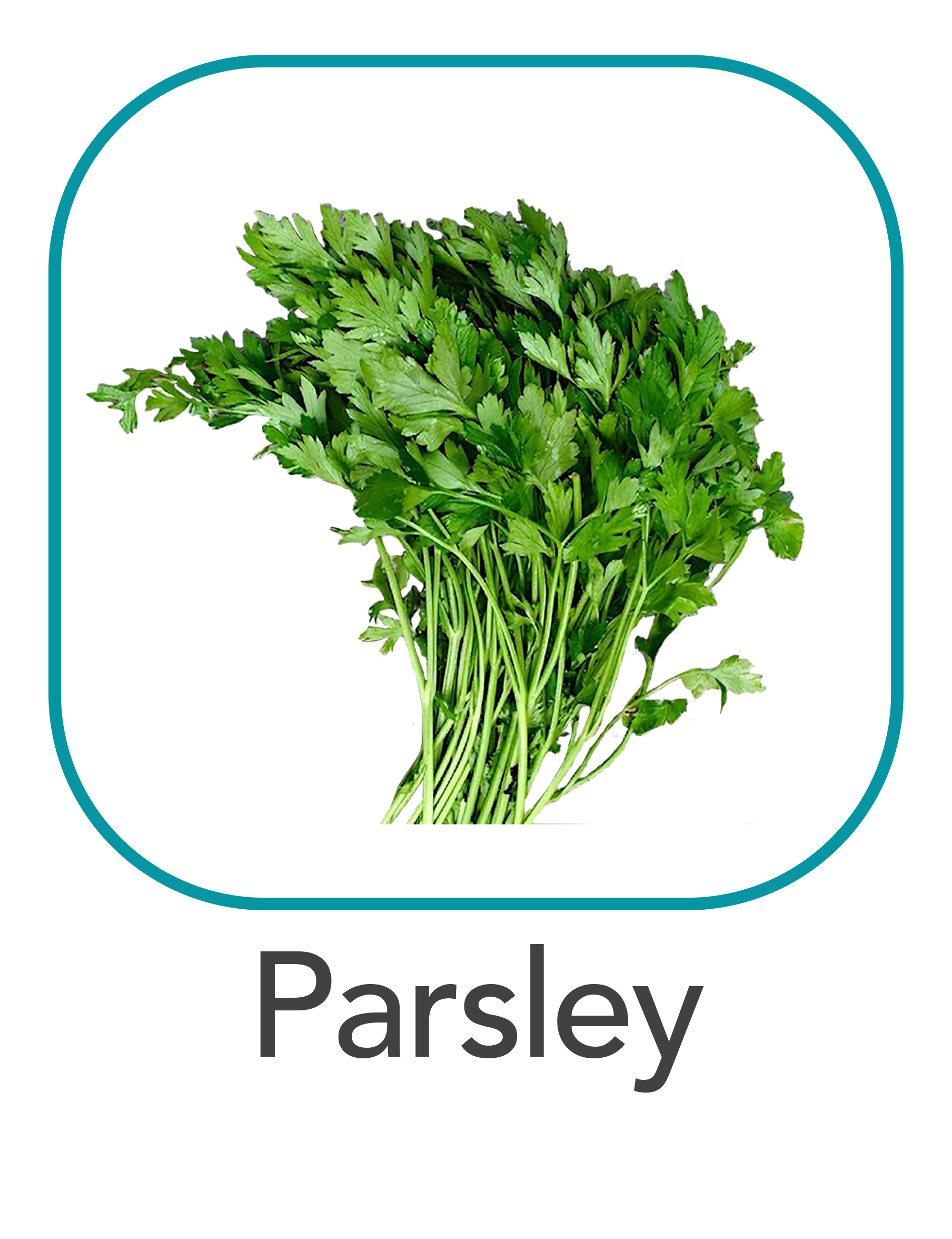 parsley_web.png