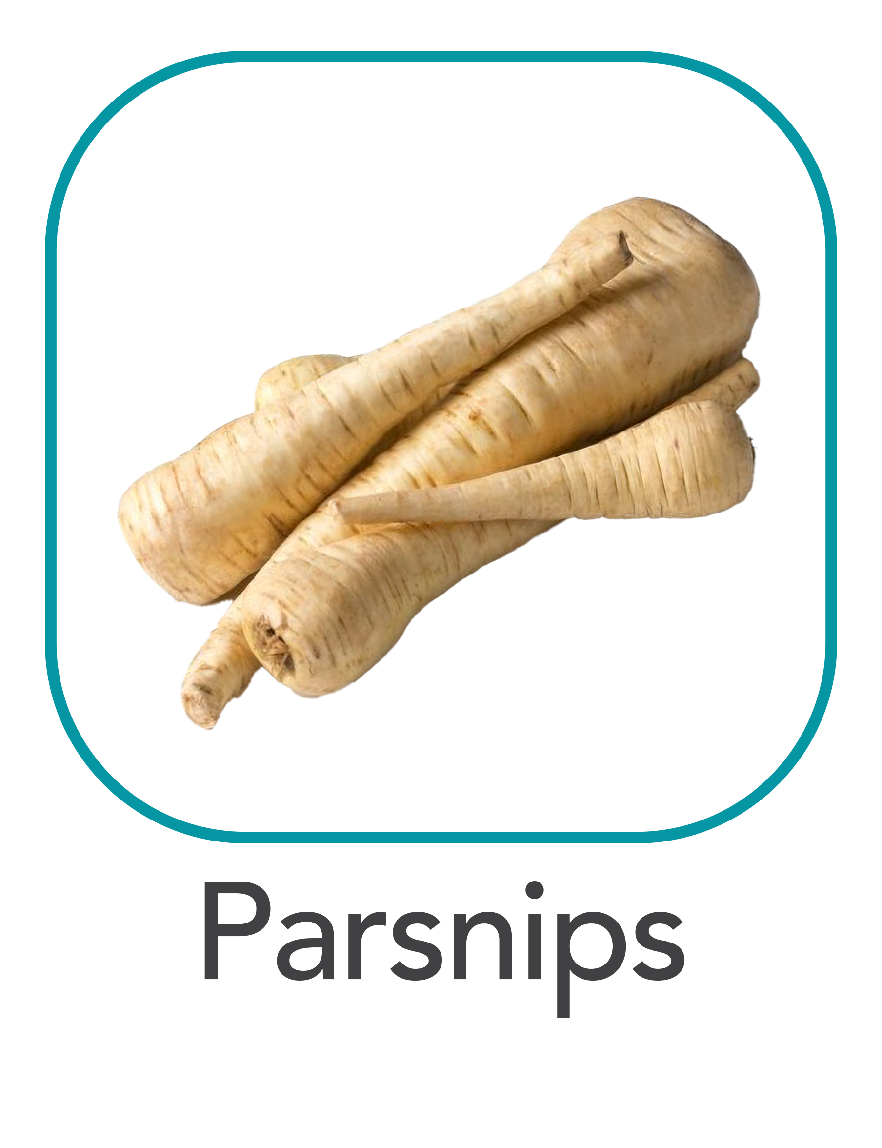 parsnips_web.png