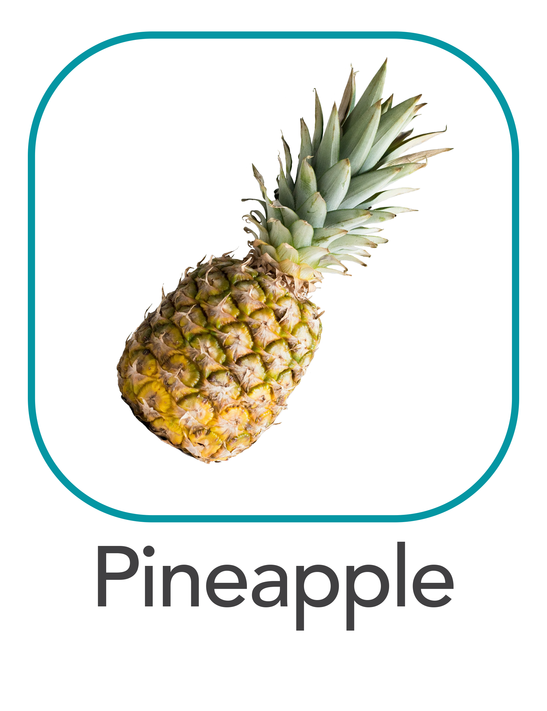 pineapple_web.png