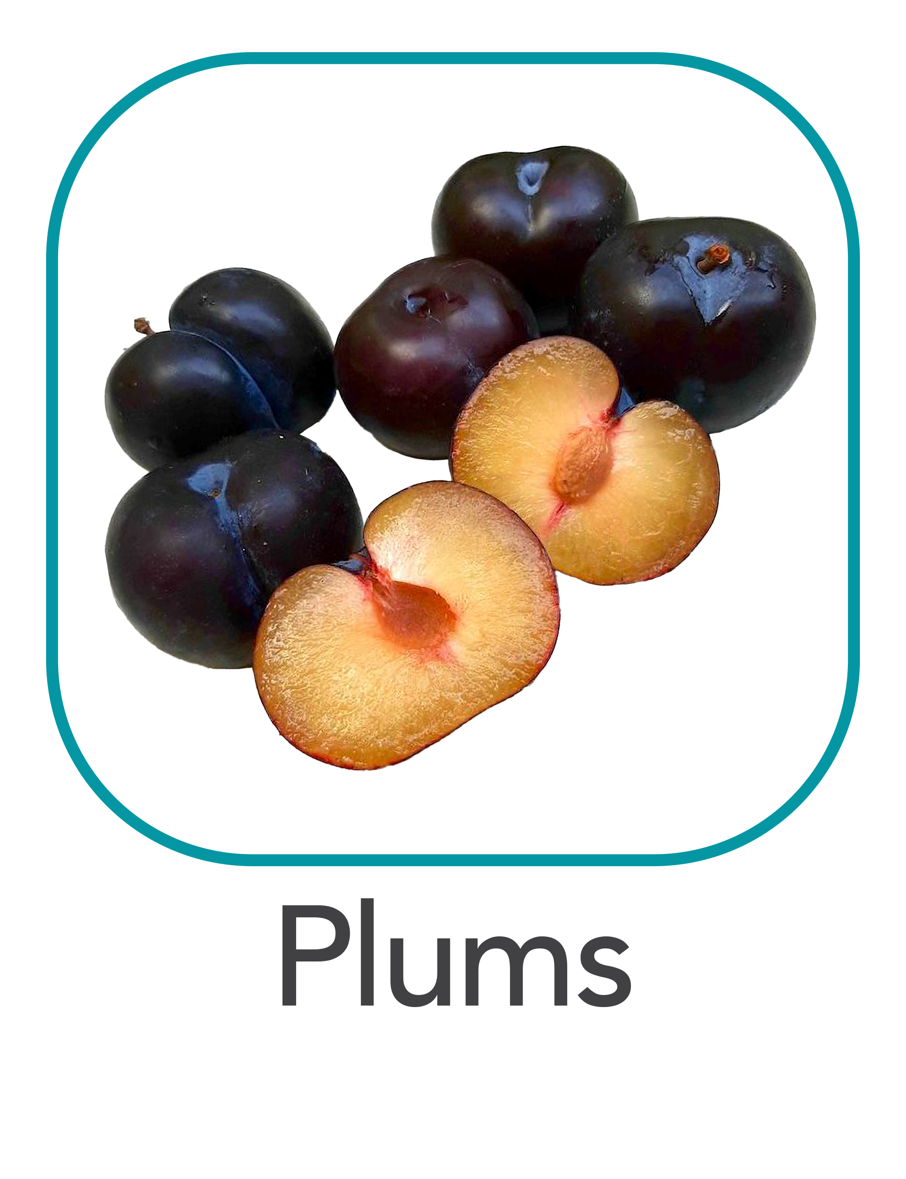 plums_web.png