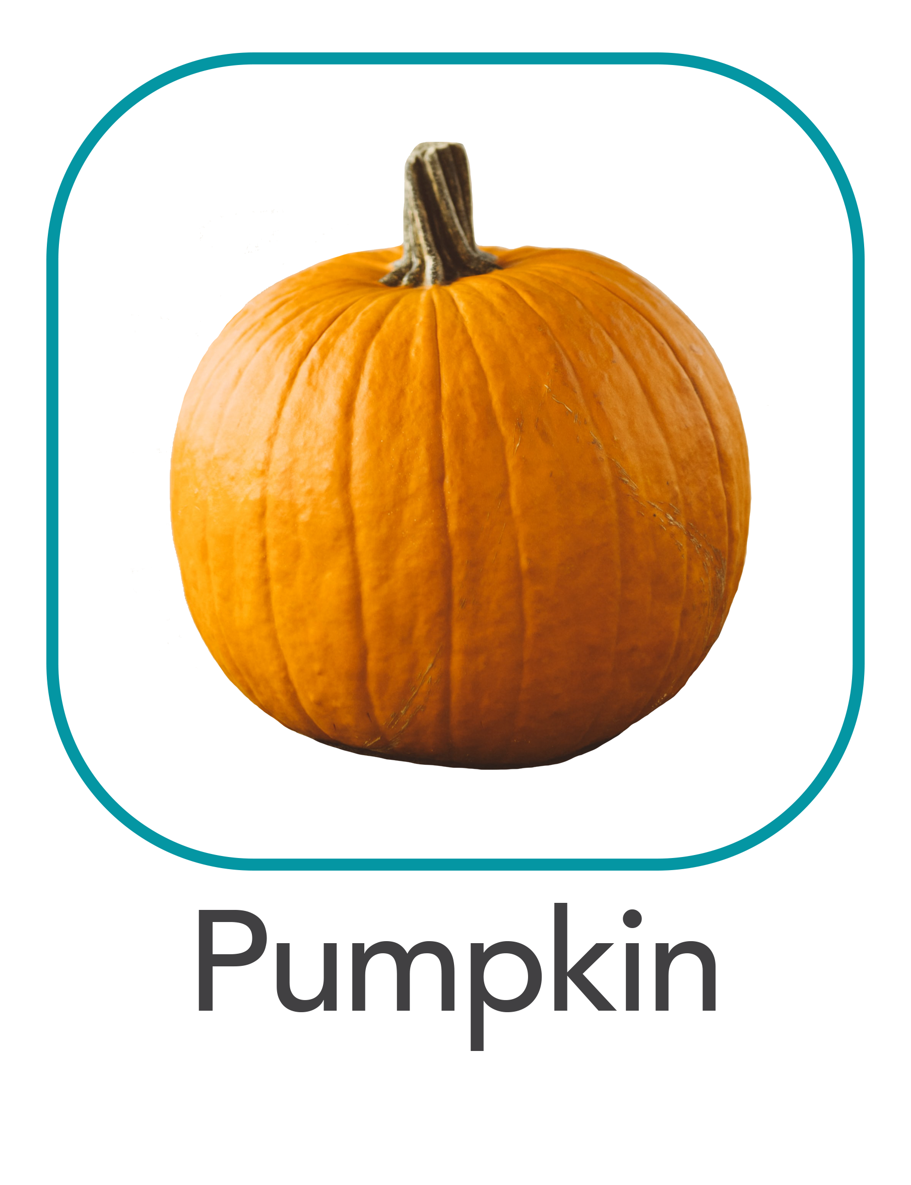 pumpkin_web.png