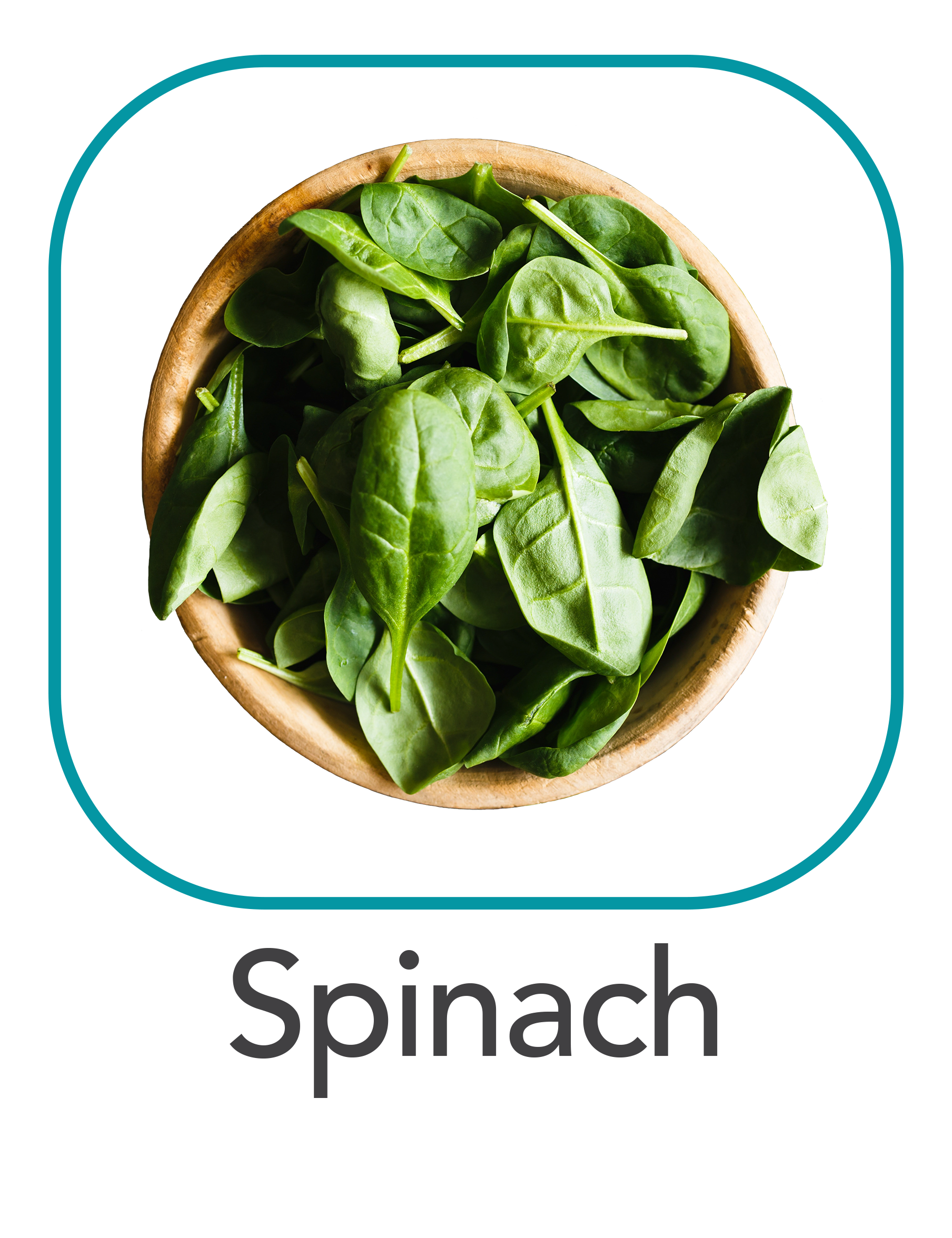spinach_web.png