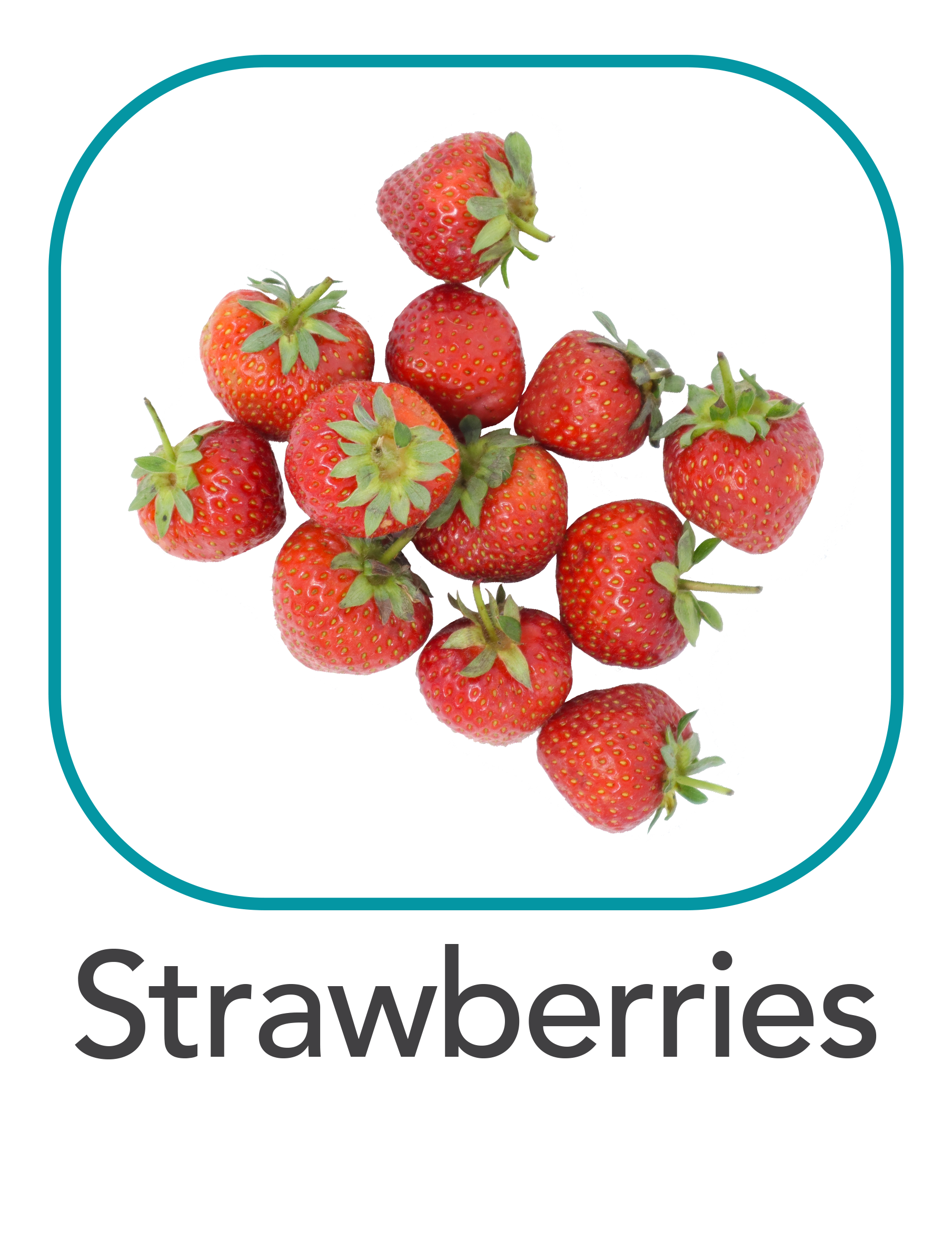 strawberries_web.png
