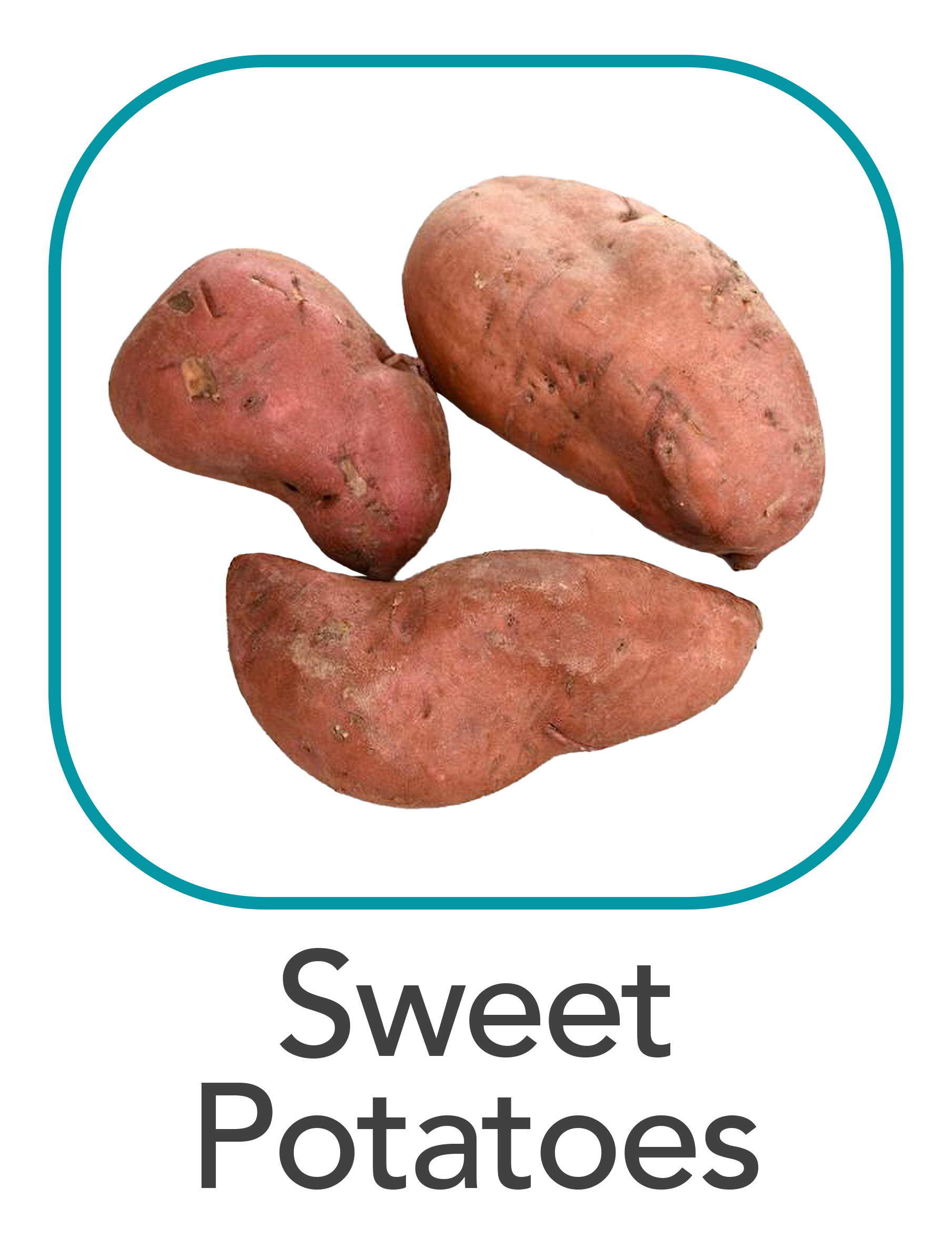 sweetpotatoes_web.png