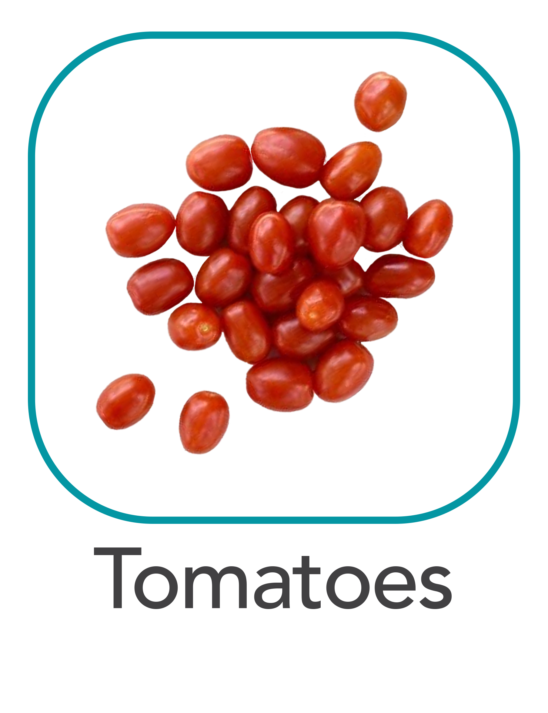 tomato_web.png