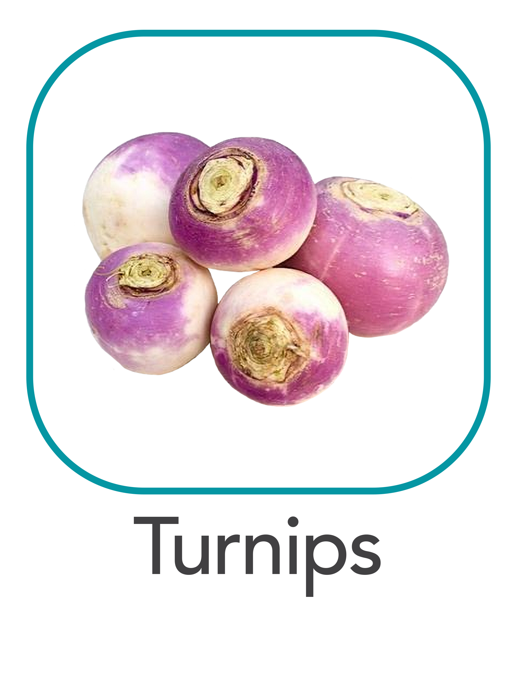 turnips_web.png