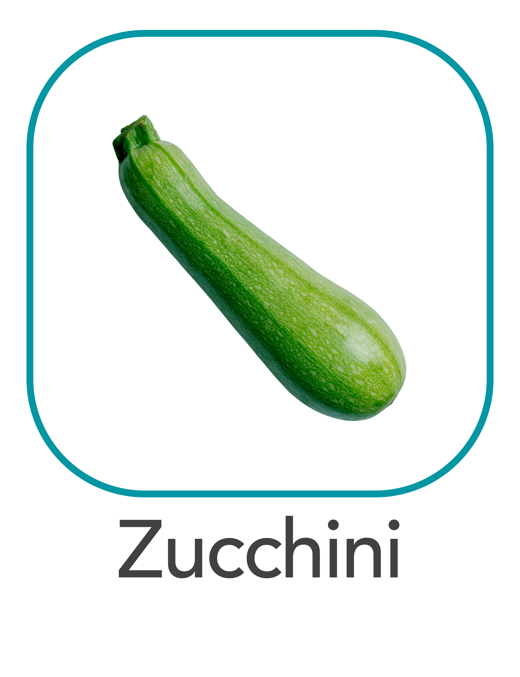 zucchini_web.png