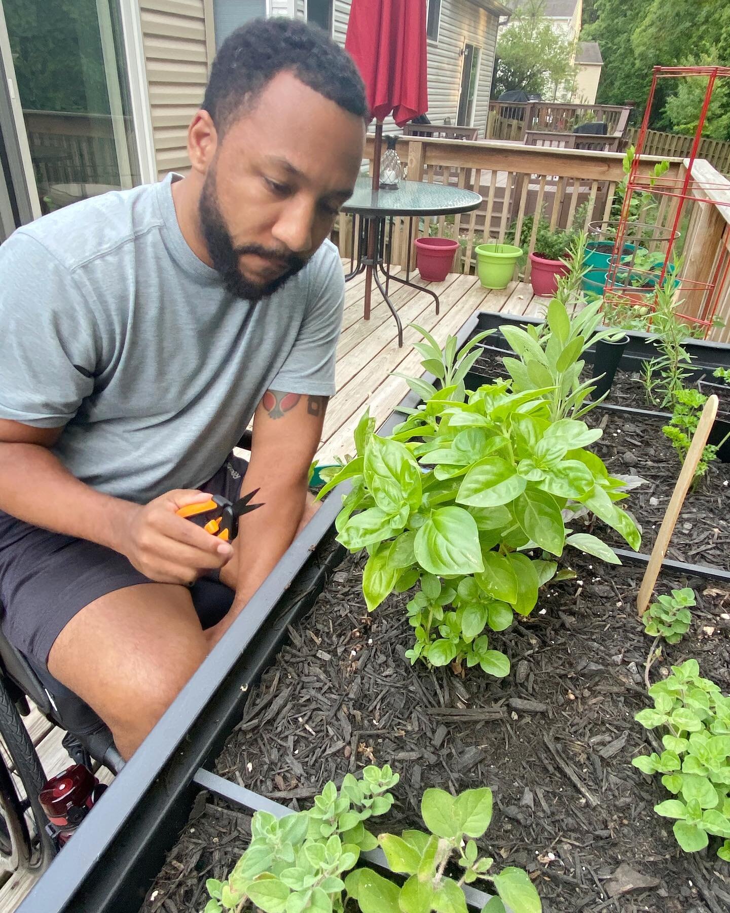 Our first harvest from porch garden!

Spaghetti with Fresh Basil 🍝