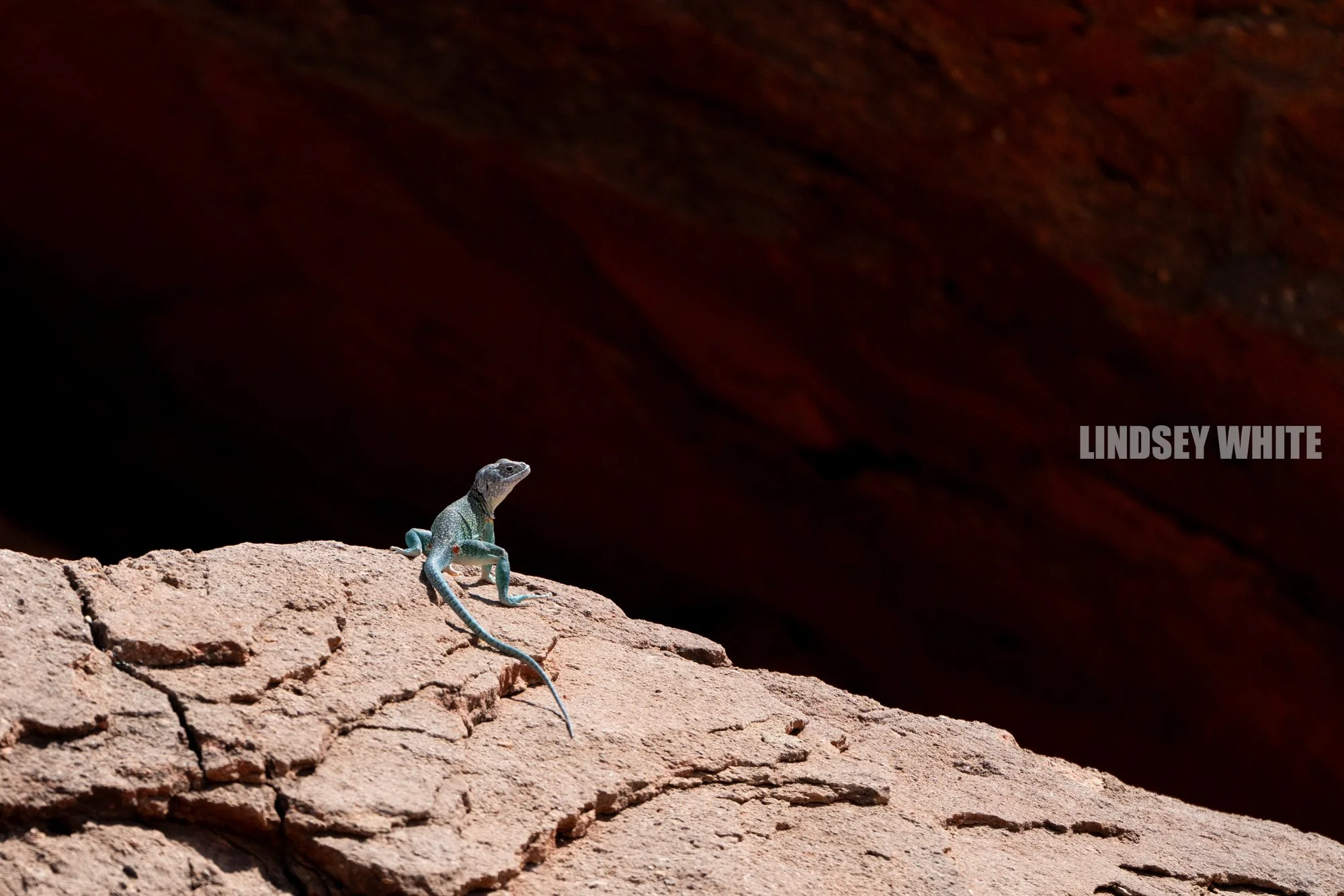 Palo Duro Canyon SP | Texas