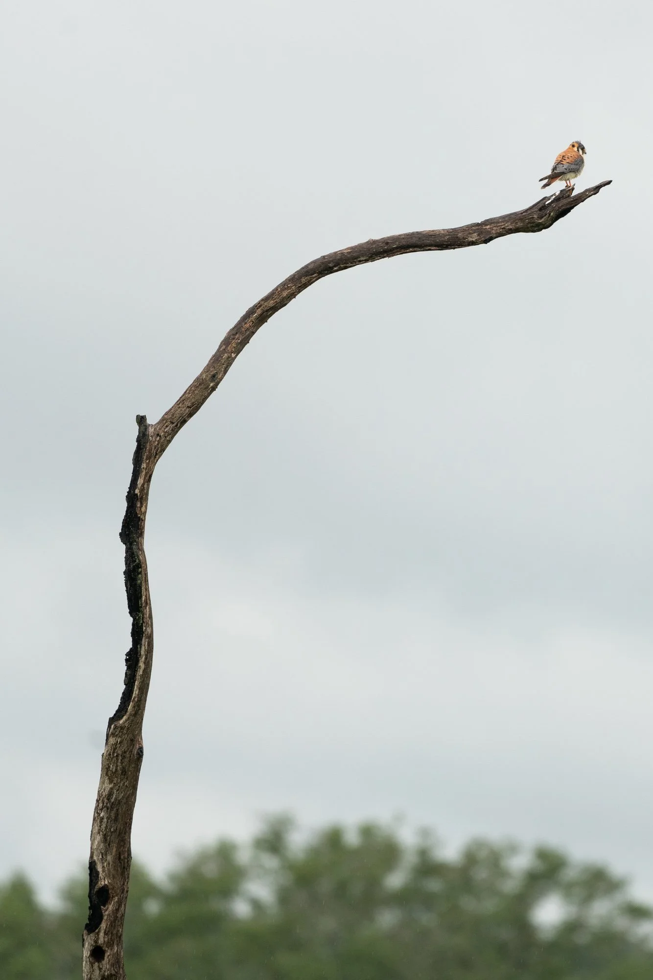 _LDW5849.jpg