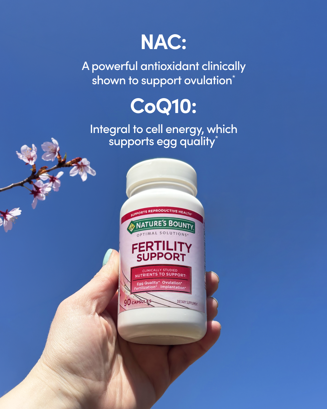 NB_0426_Fertility_support_frame2.png