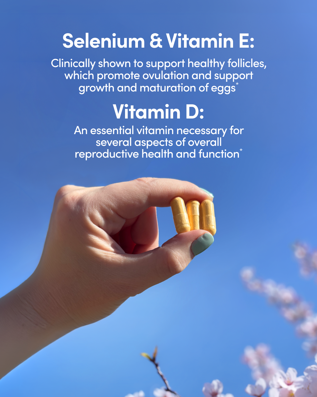 NB_0426_Fertility_support_frame3.png