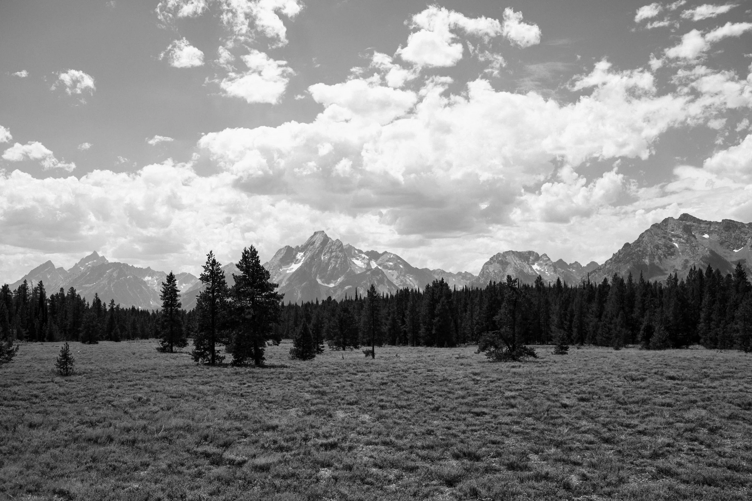 DSCF6488.jpg