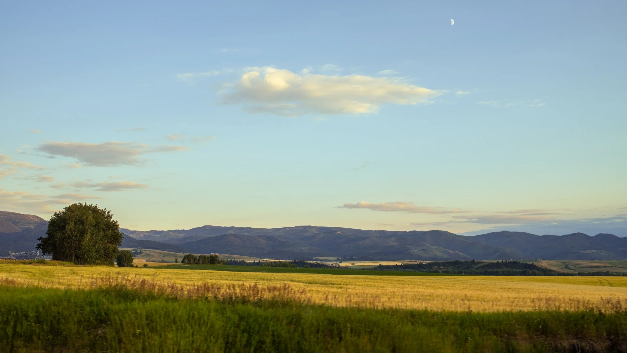 DSCF5705.jpg