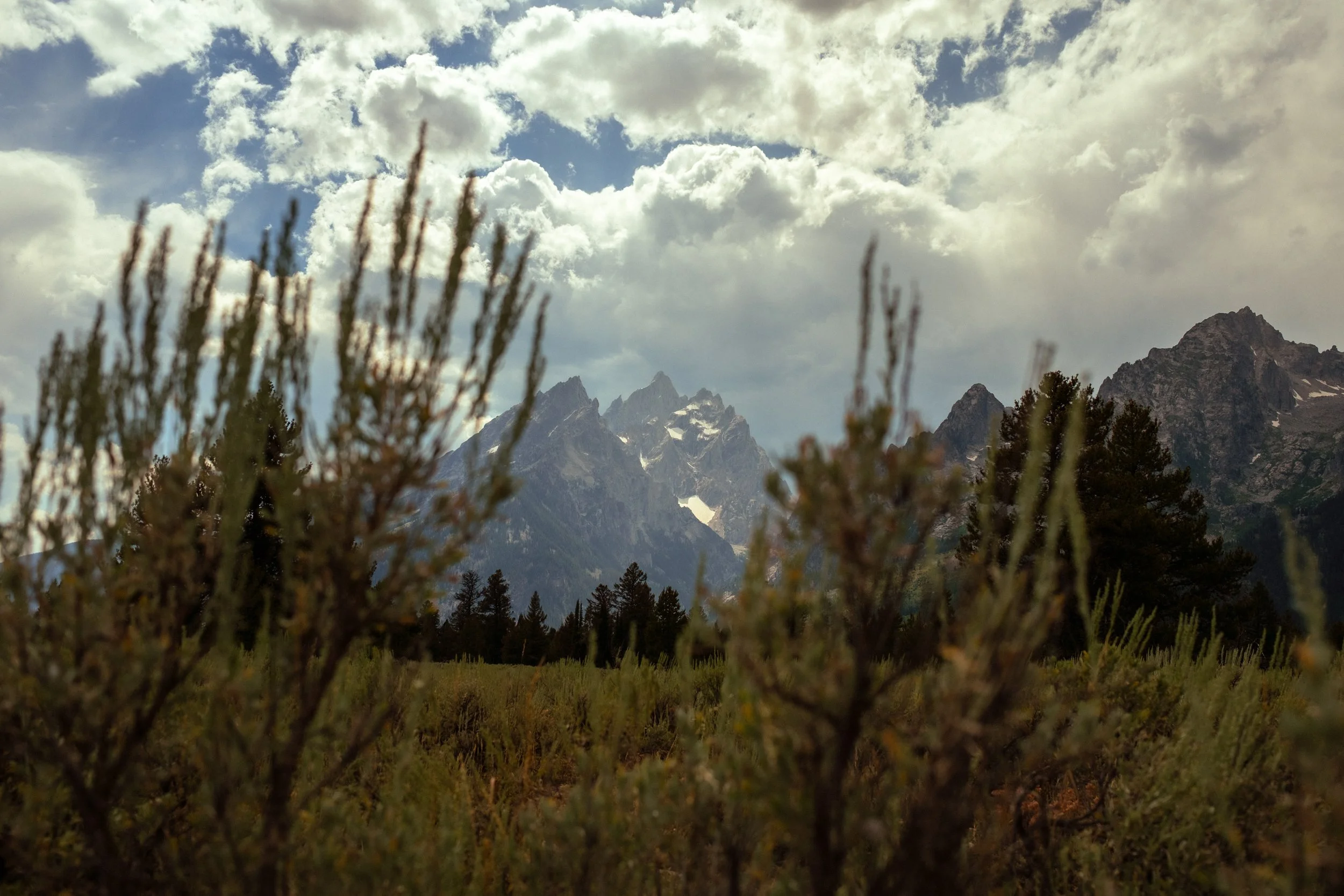DSCF6516.jpg
