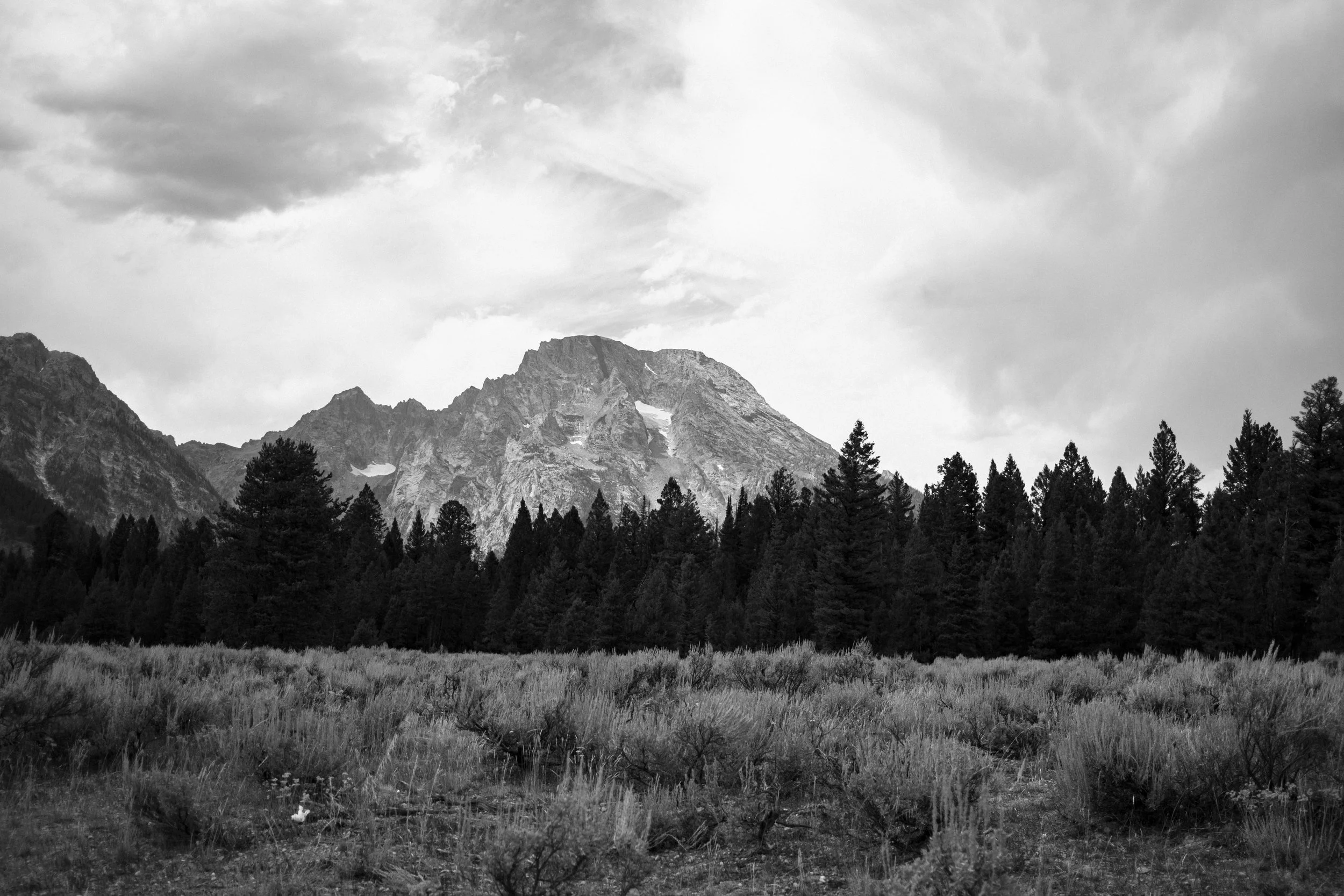 DSCF6580.jpg