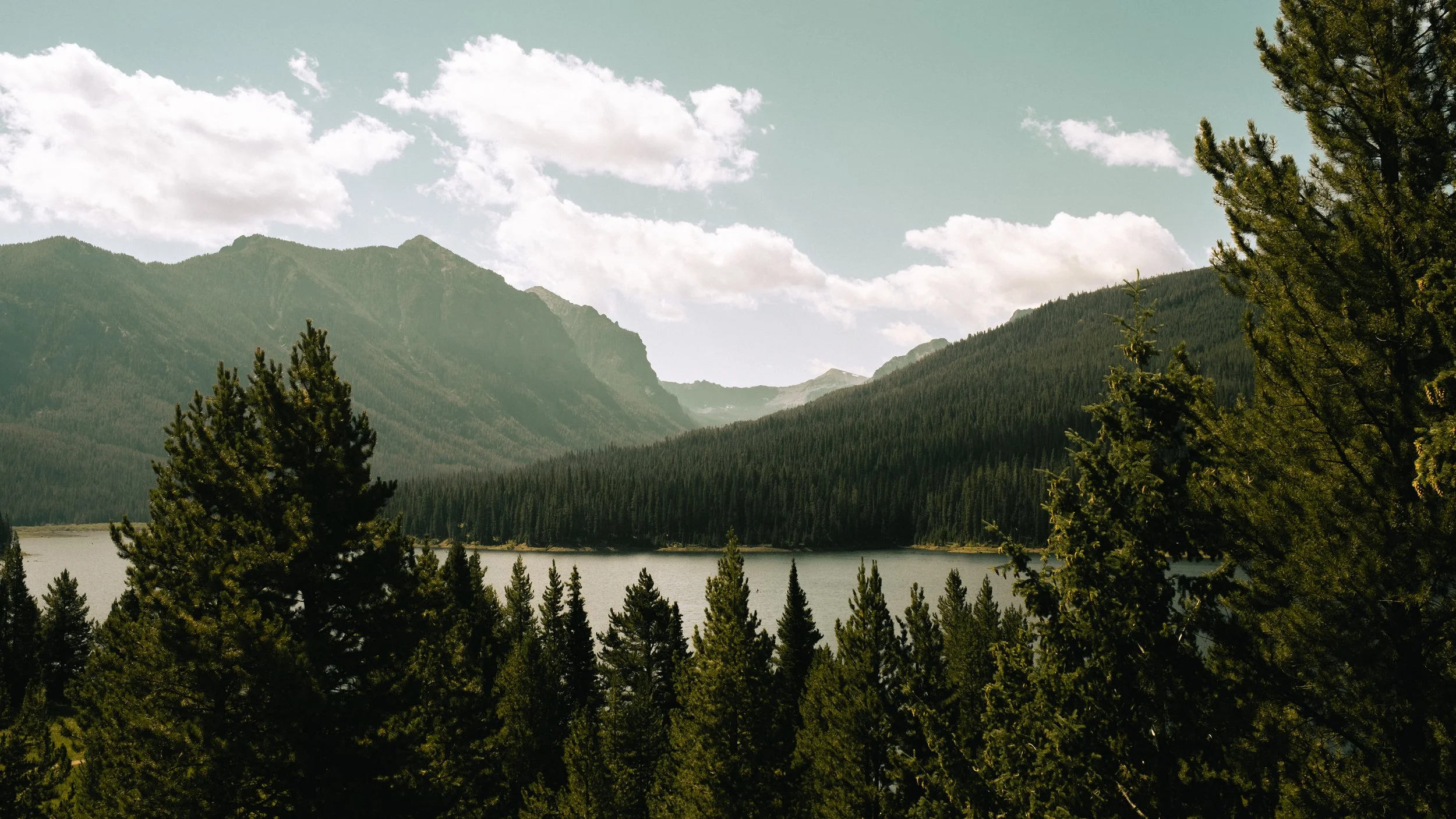 DSCF5751.jpg