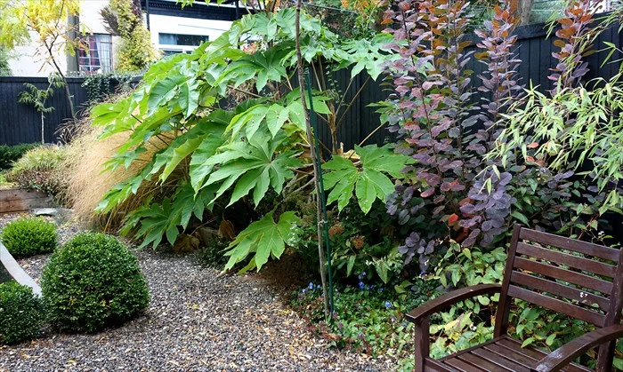 Late garden in Brooklyn