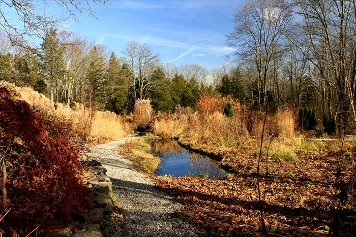 Brown is many colors