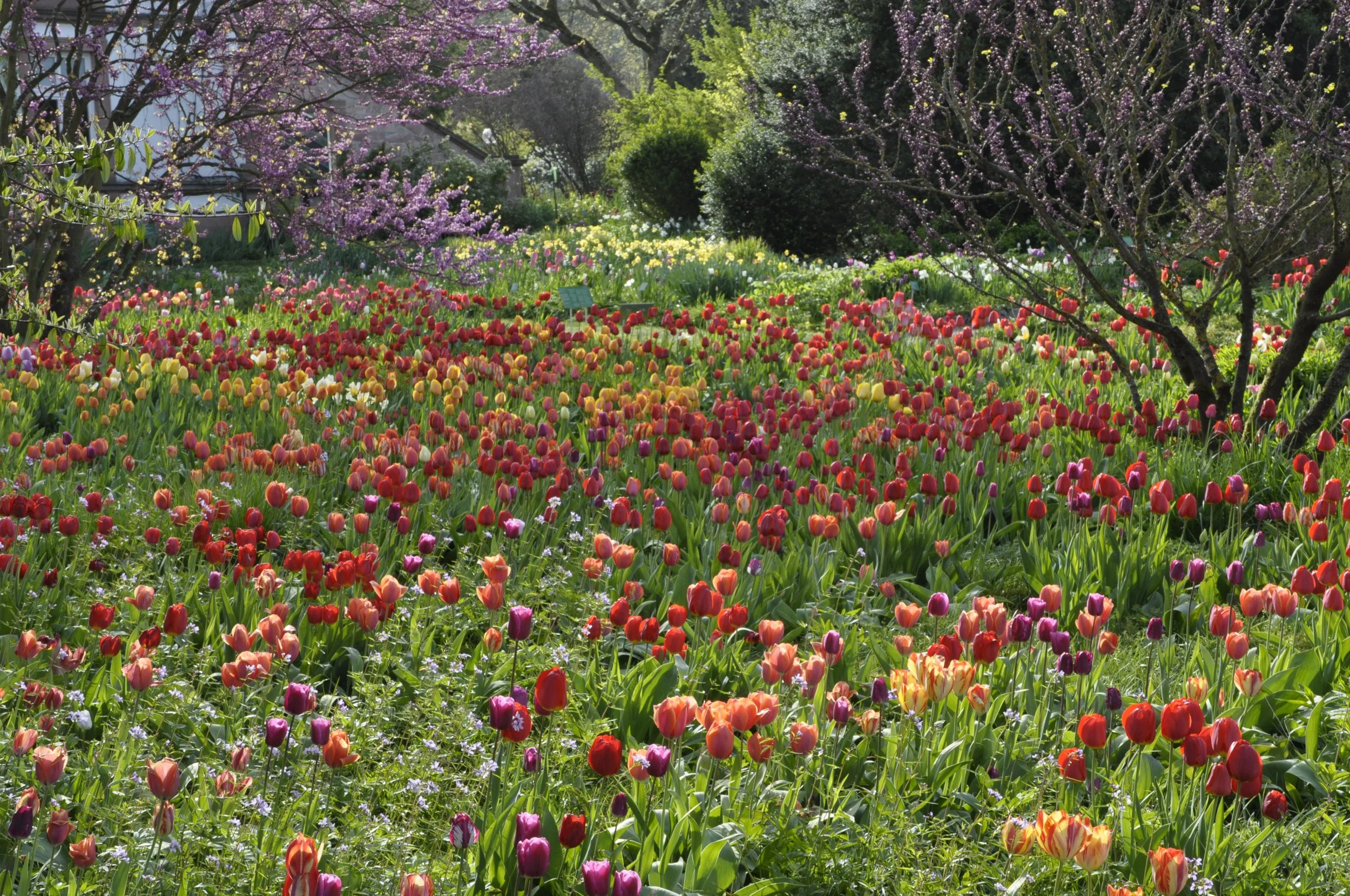 Planting Research to End at Germany's Famed Hermannshof Display and Trial Garden