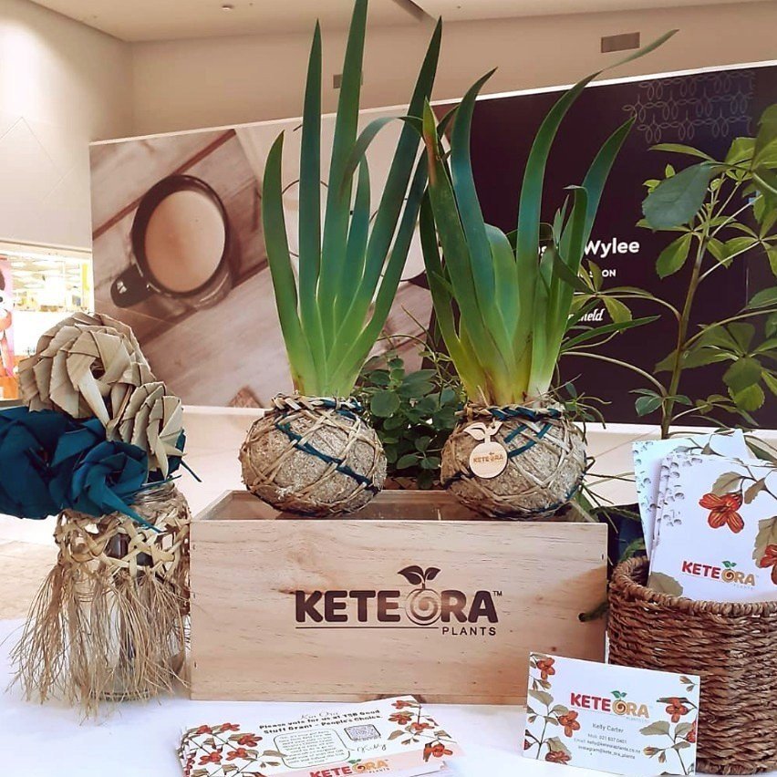 Kete+Ora+plants+NZ+native+gift.jpg