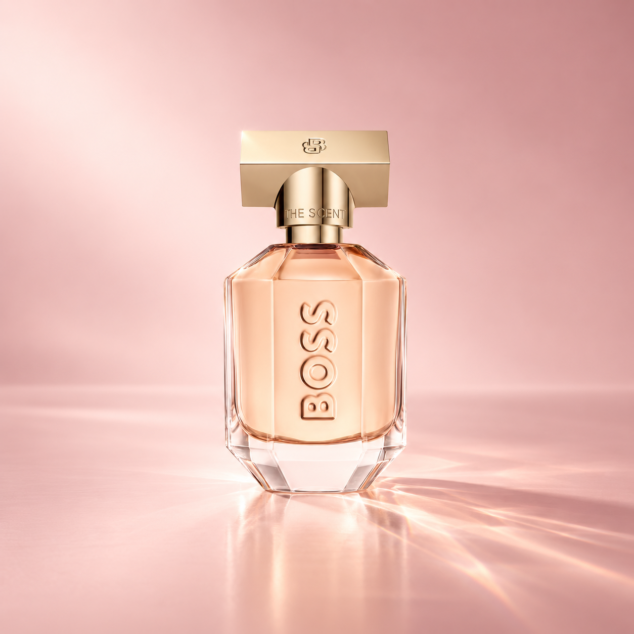 The Scent_StudioAnge06.png